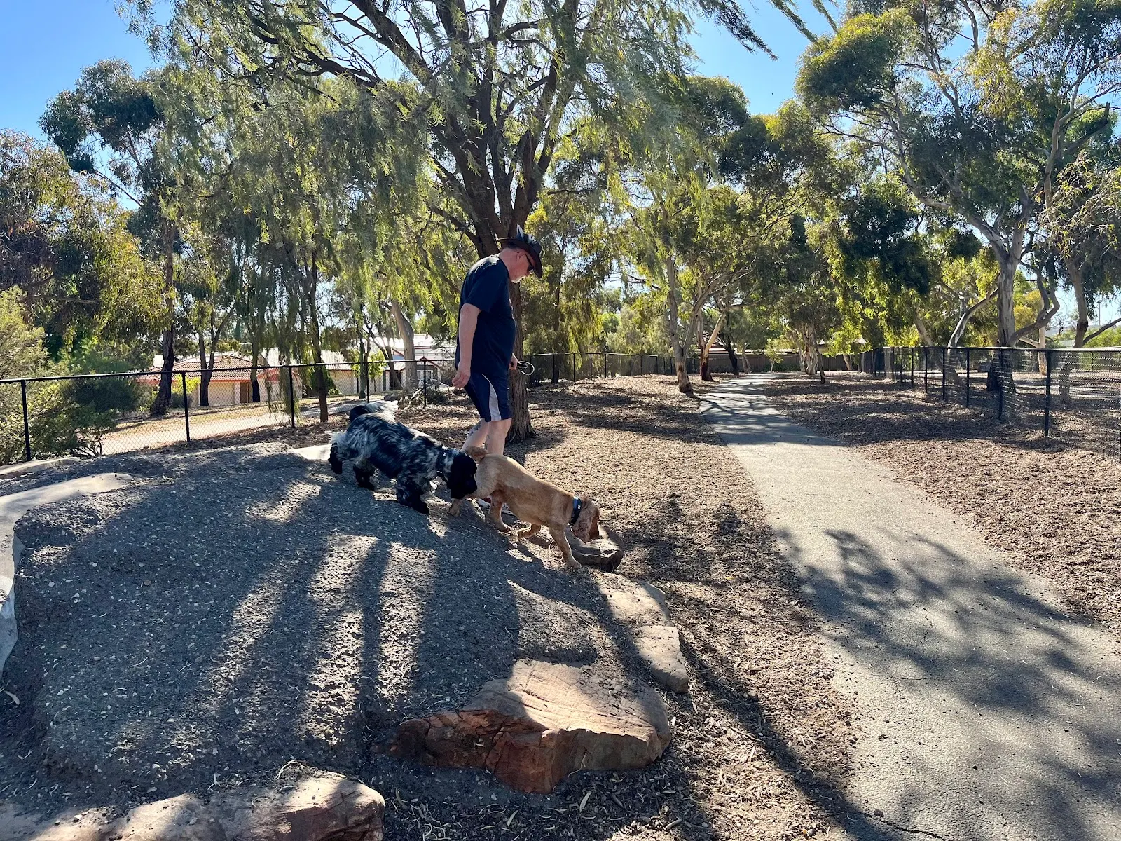 Golden Grove Fenced Dog Park dog park