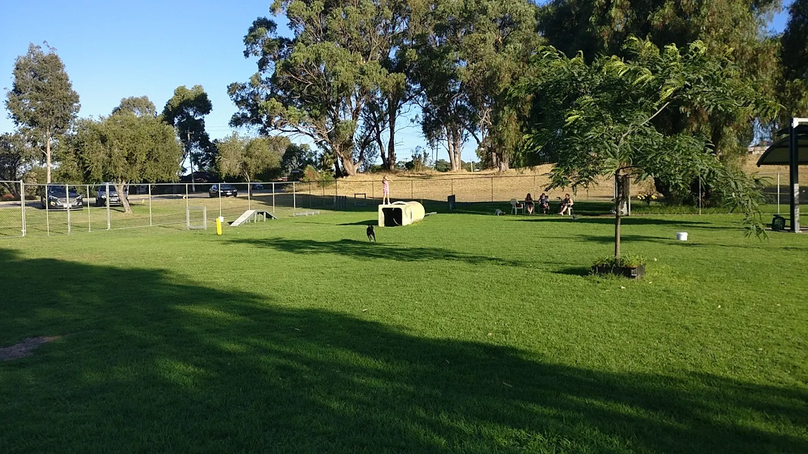 Peace Park Parmelia dog park
