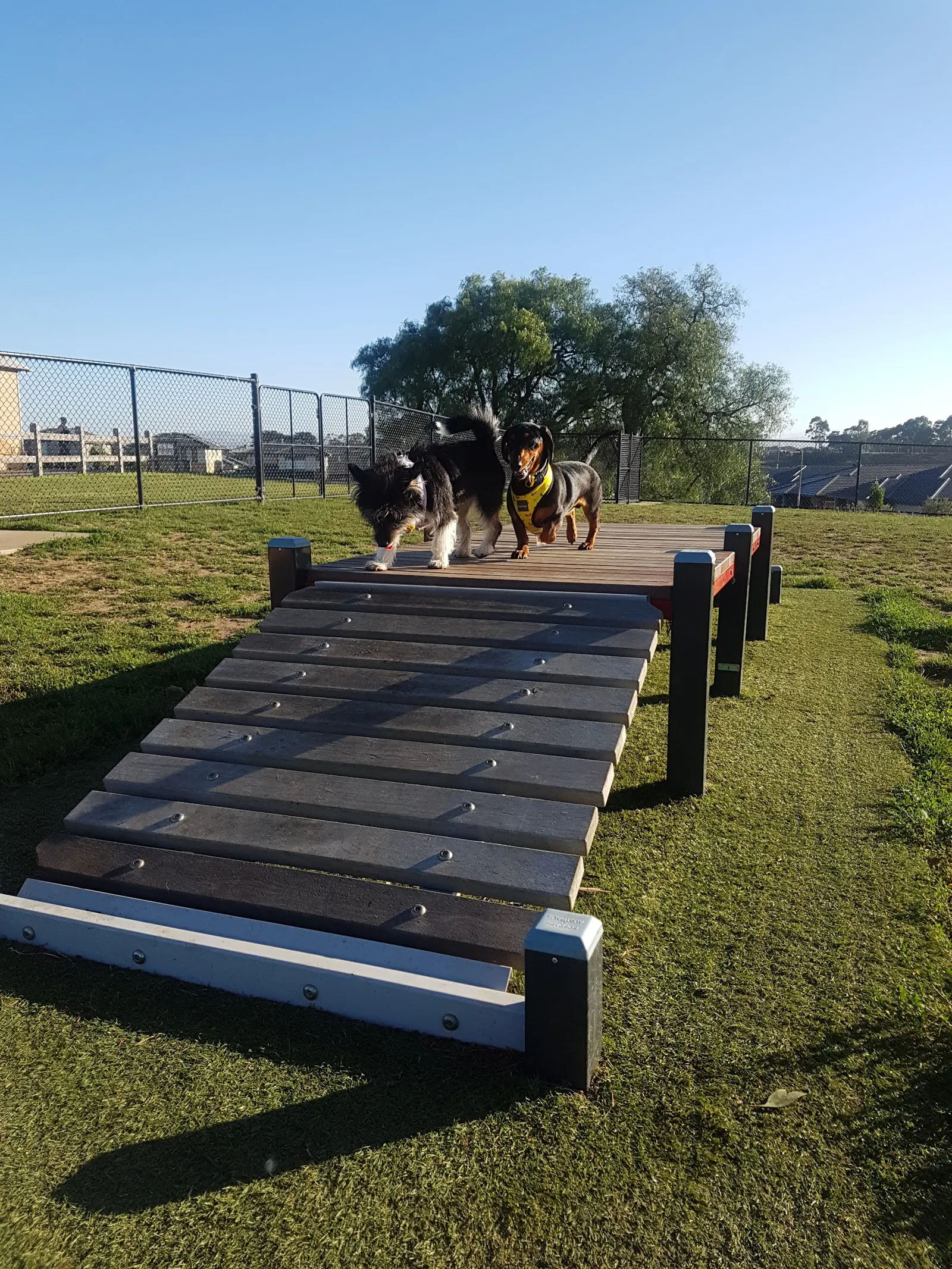 Pasadena Fenced Dog Park dog park