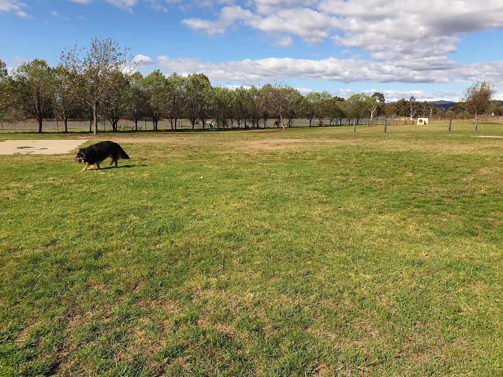 The Scar dog park