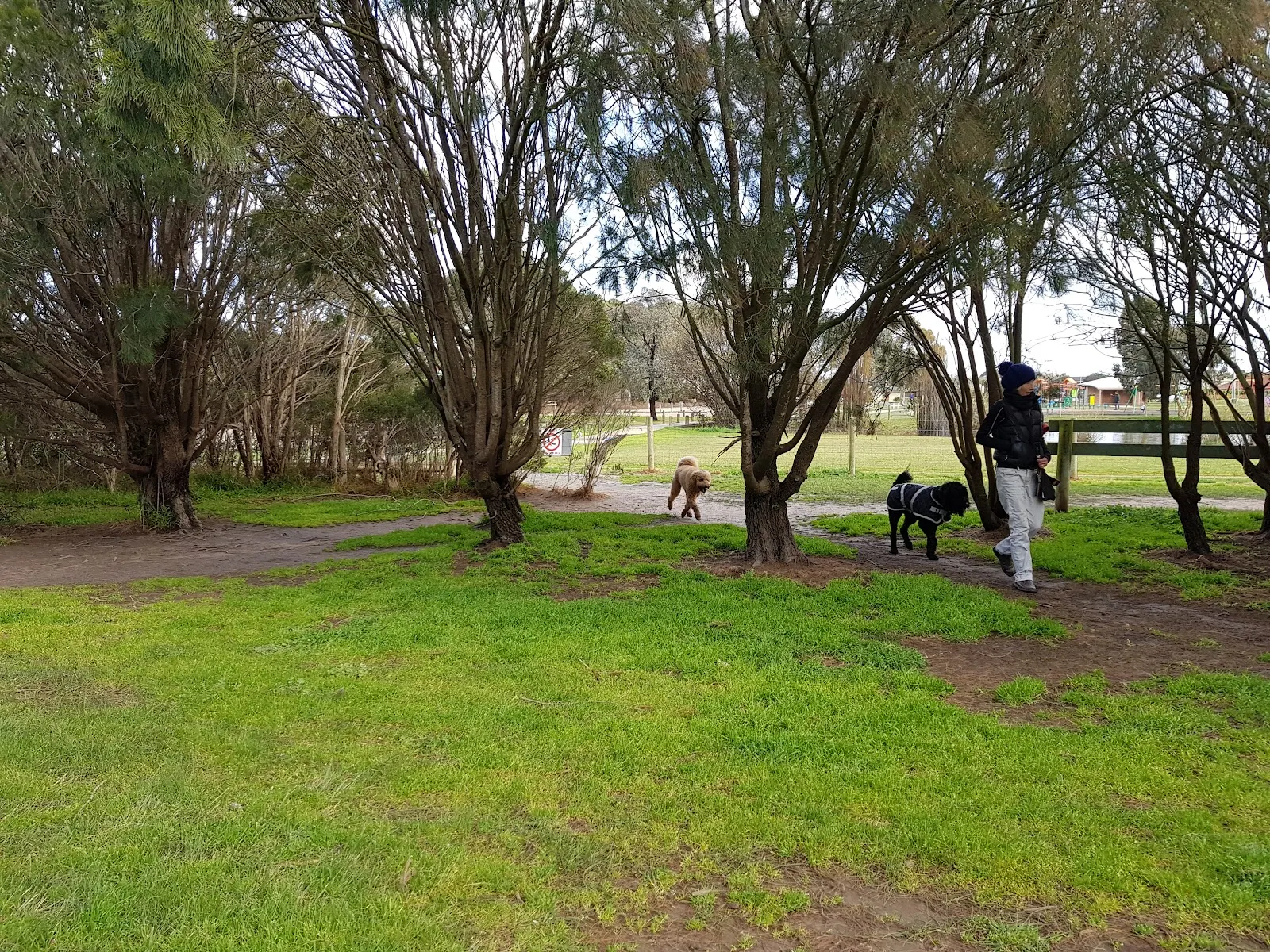 Civic Reserve Fenced Dog Park dog park