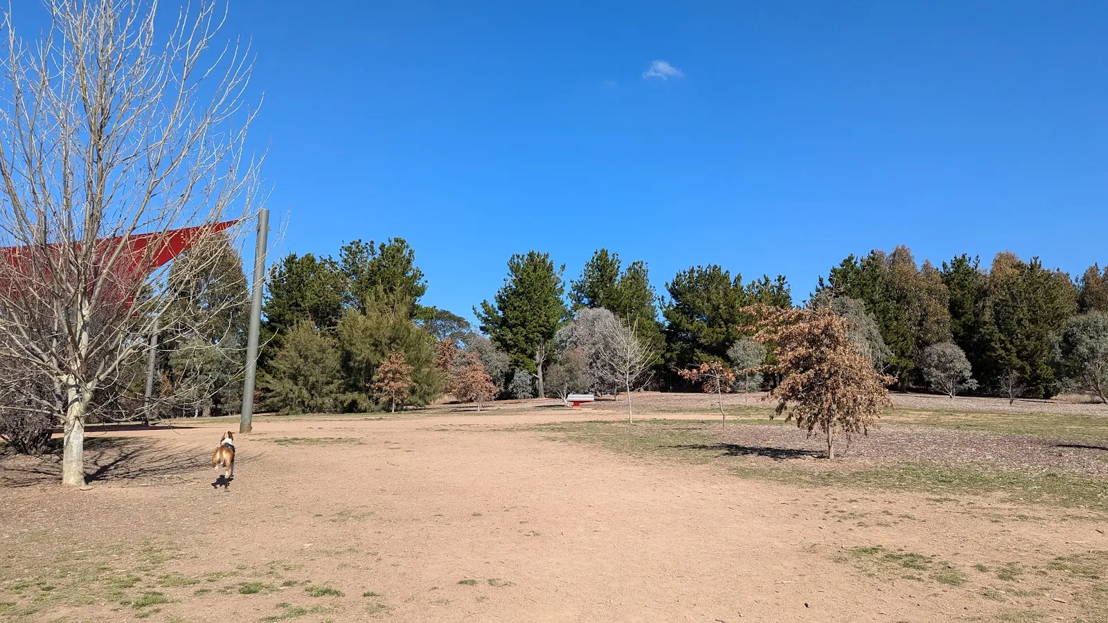 Weston Creek Dog Park dog park