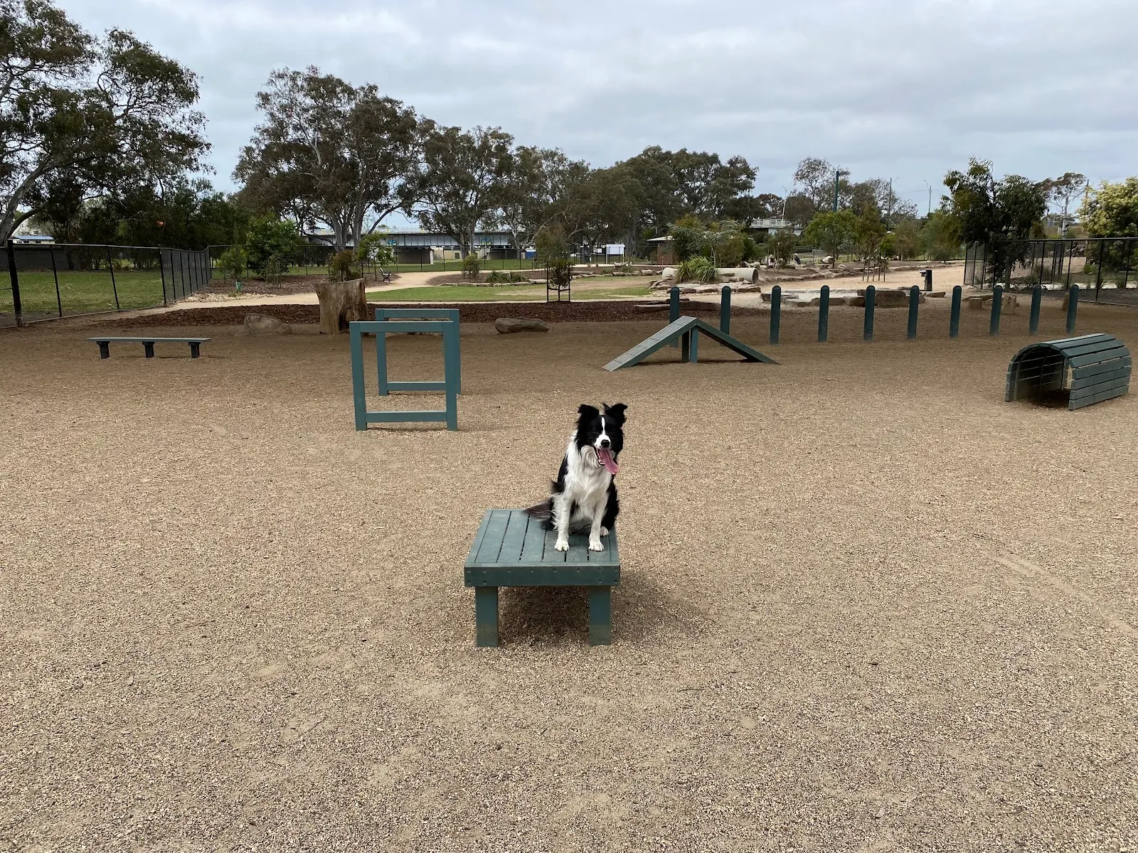 Belmont Dog Park dog park