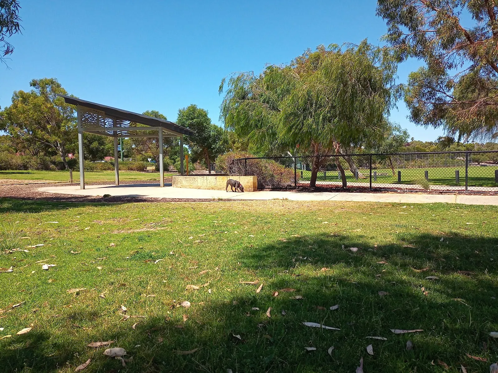 Charles Riley Memorial Reserve Fenced Dog Park dog park