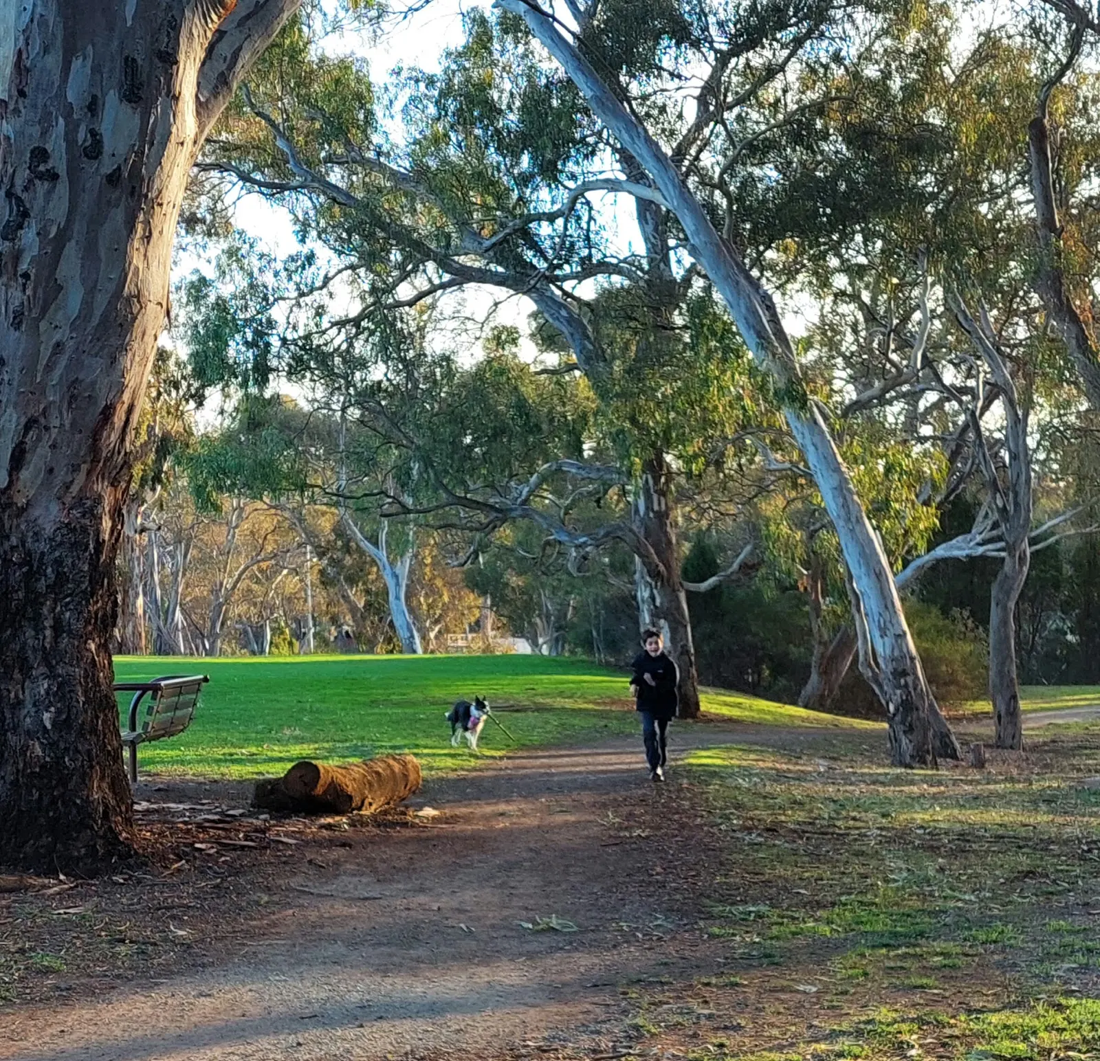 Ashley Avenue Dog Park dog park