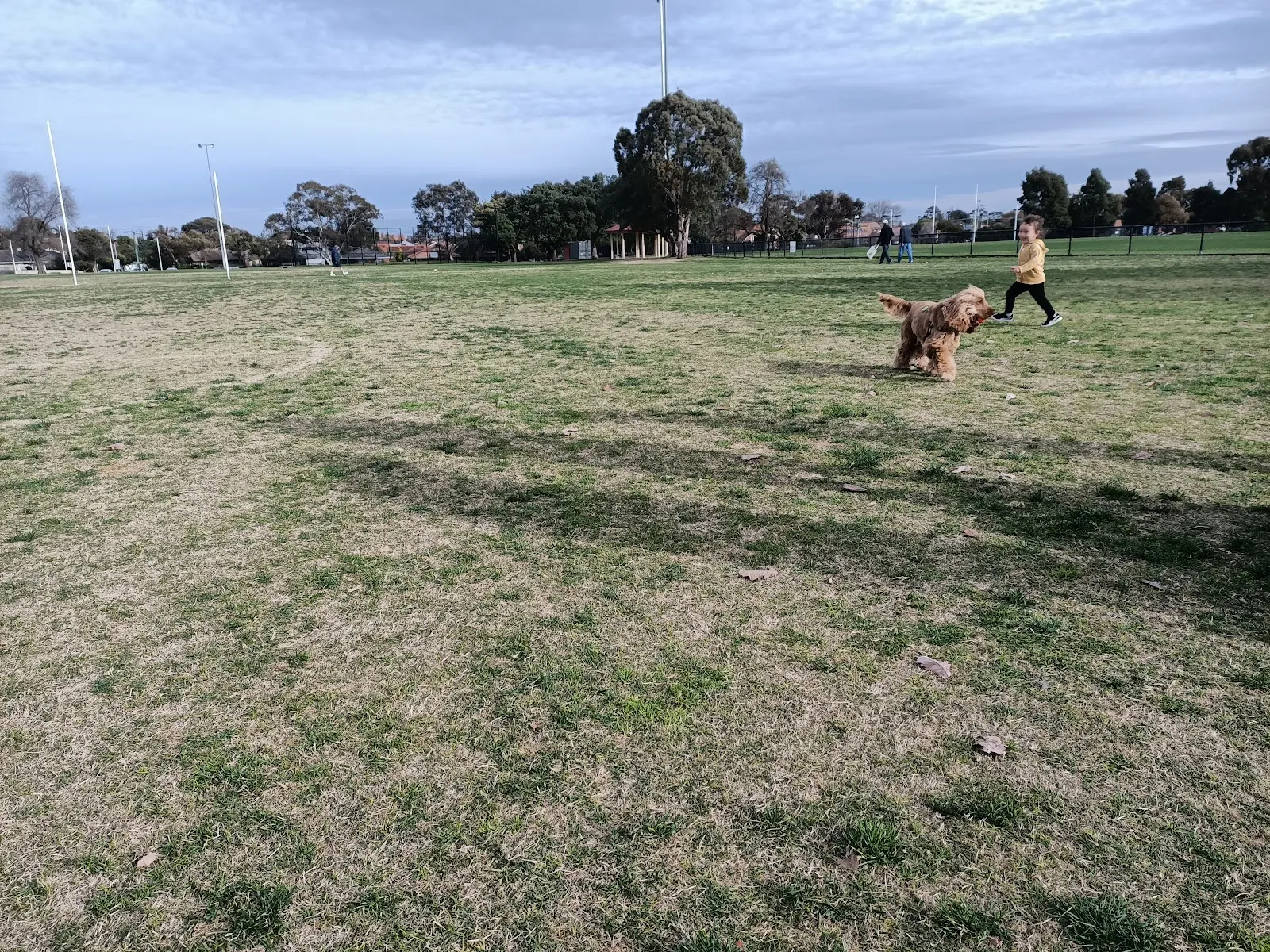 EE Gunn Reserve Dog Off Leash Area dog park