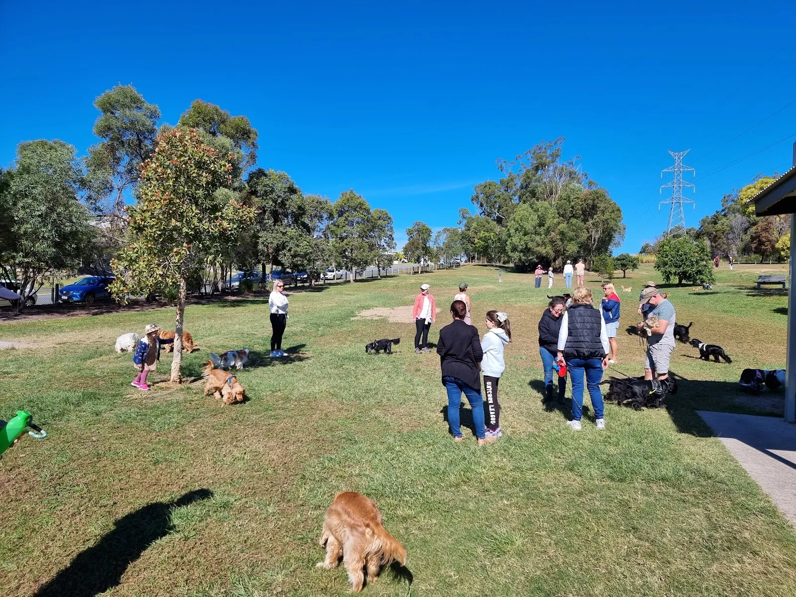 Reedy Creek Fenced Dog Park dog park