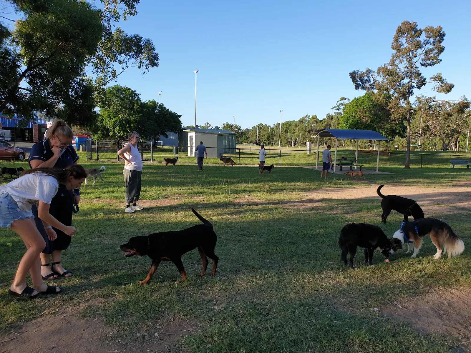 Les Hughes Sports Complex Fenced Dog Park dog park
