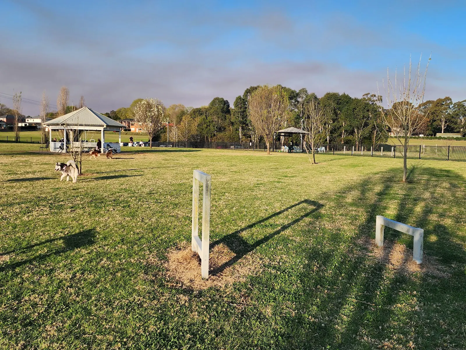 River Road Reserve Fenced Dog Park dog park