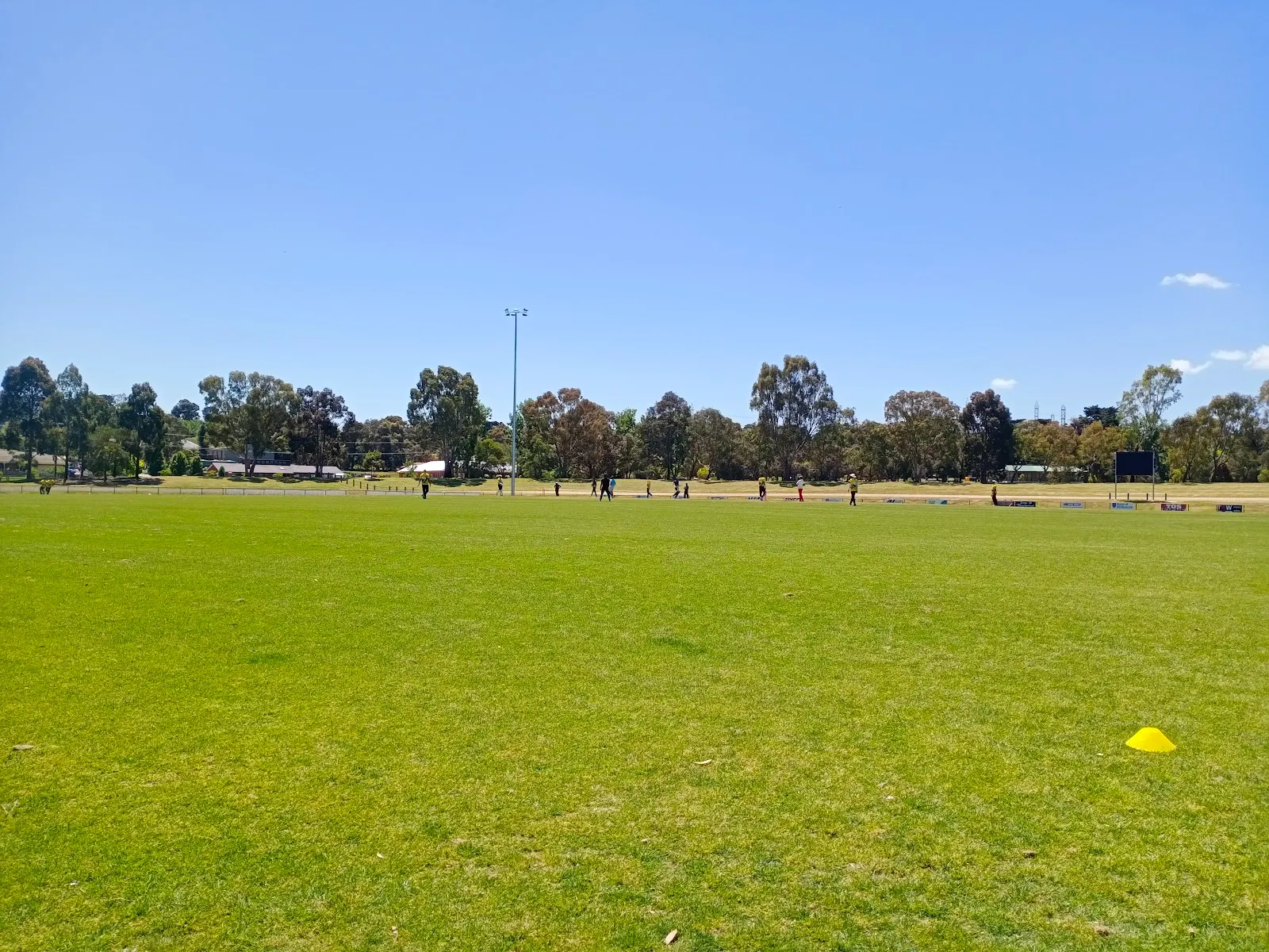 Kalora Park Oval Fenced Dog Park dog park