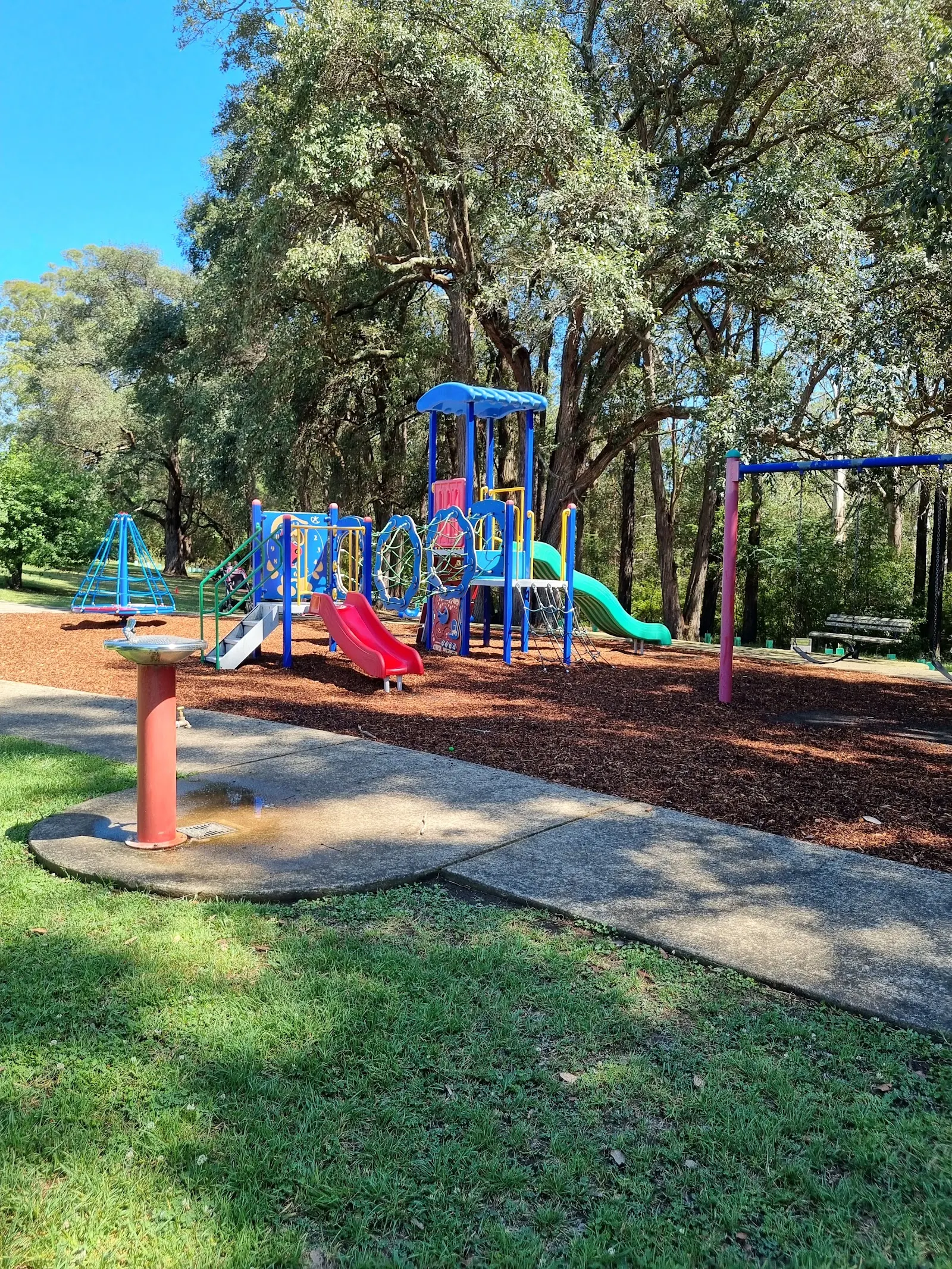 Thornleigh Dog Park dog park