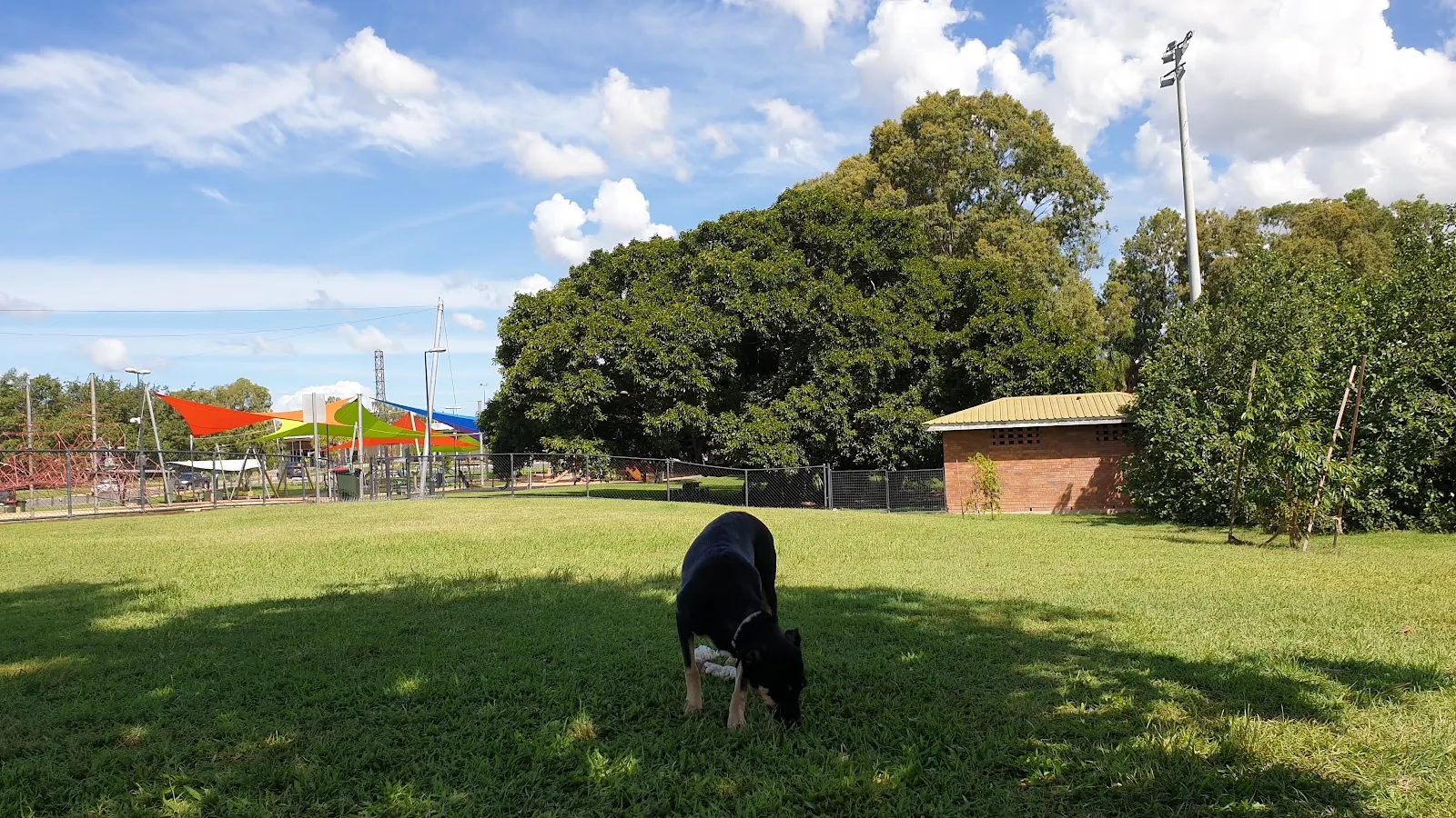 Wandal Off leash dog Park dog park