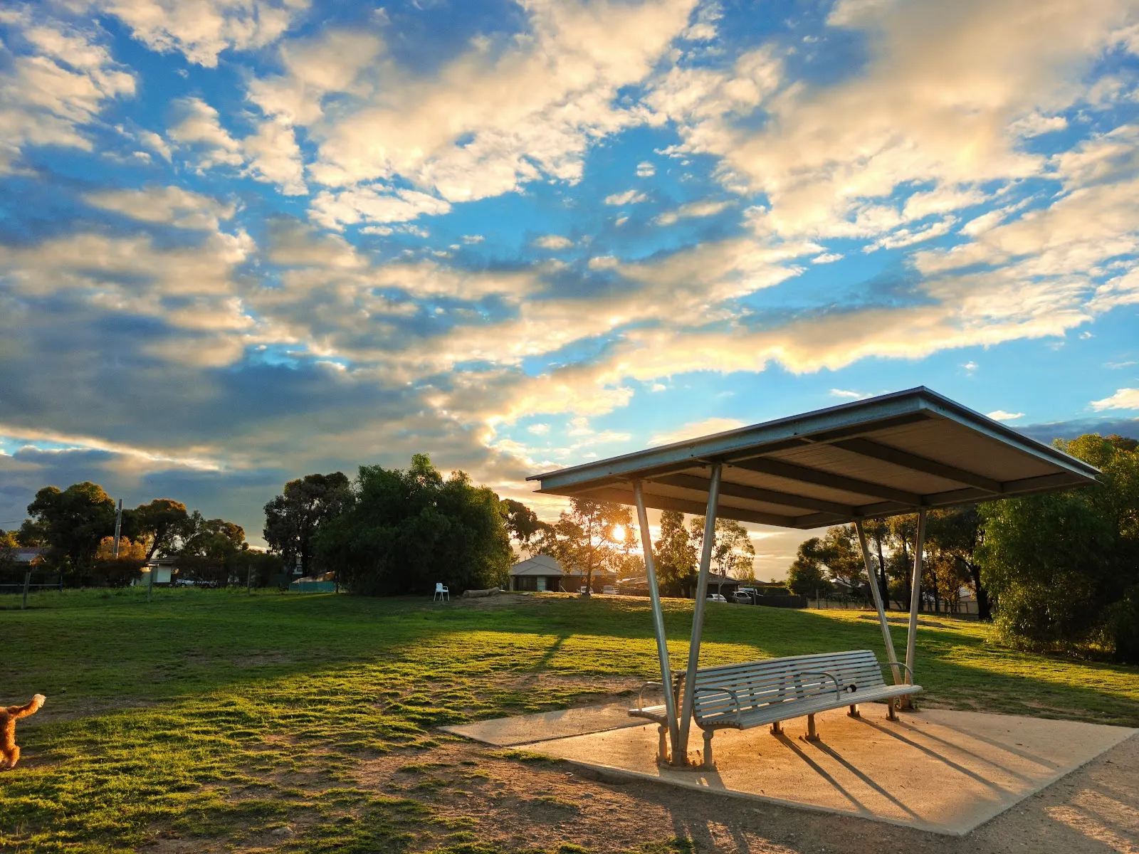 Truscott Reserve Dog Park dog park