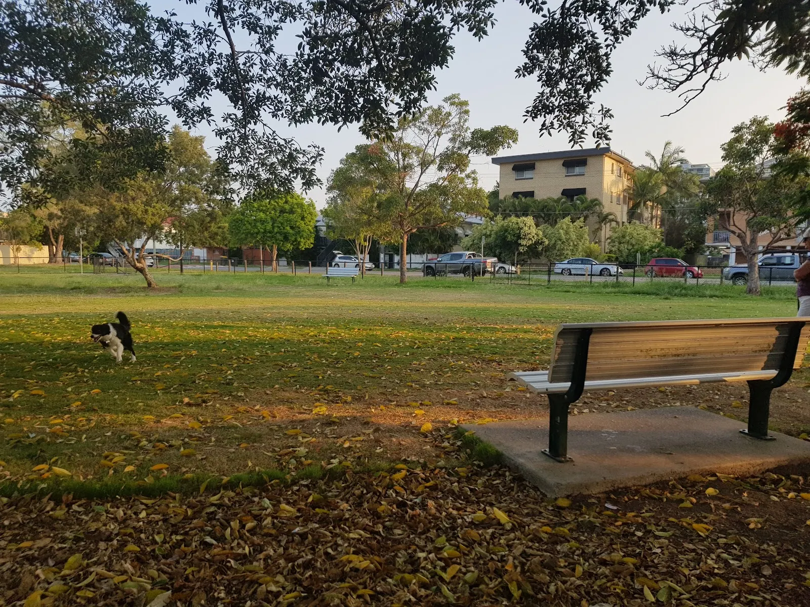 Raymond Park Fenced Dog Park dog park