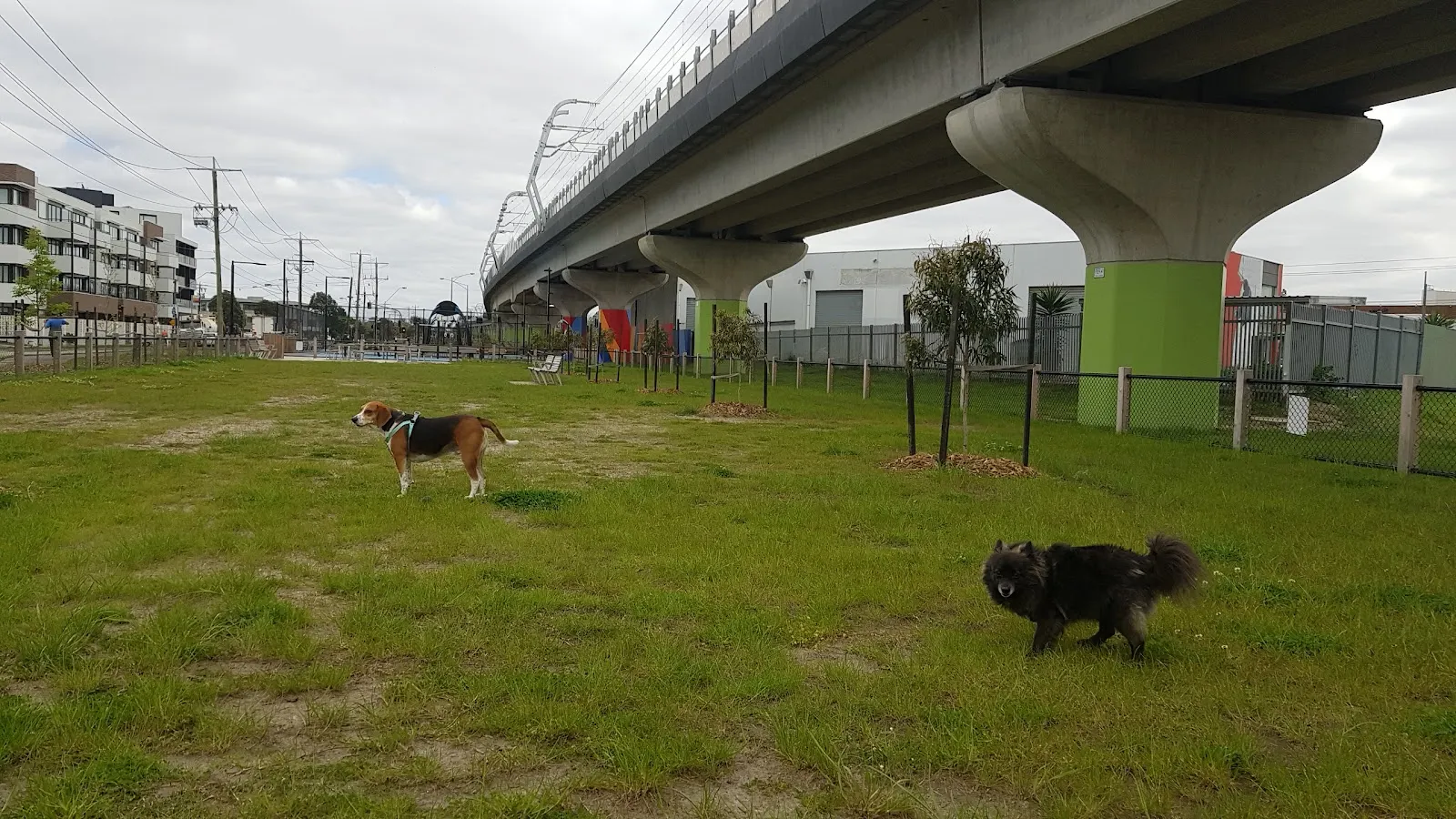 Haughton Road Fenced Dog Park dog park