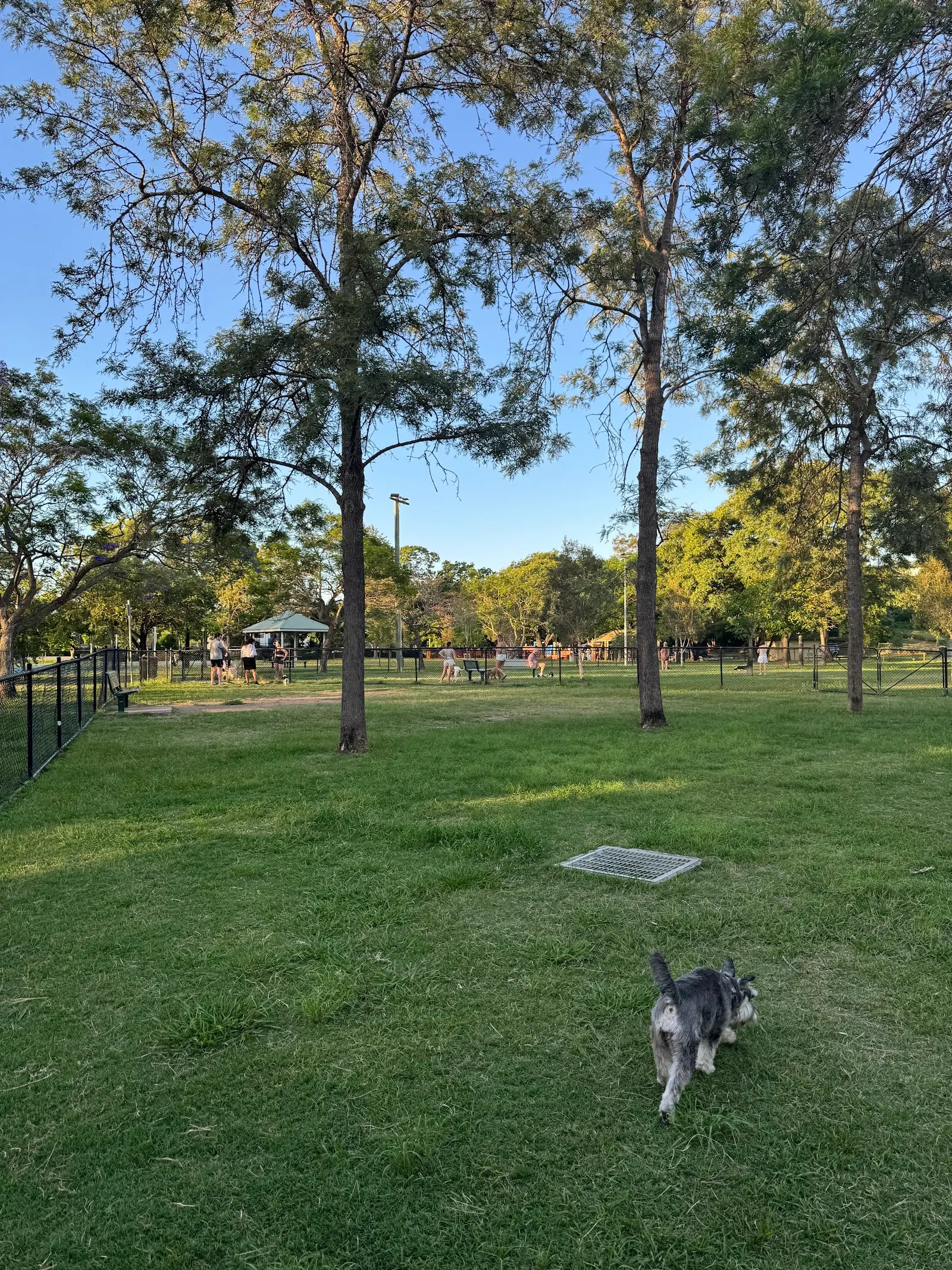 Milton Park Fenced Dog Park dog park