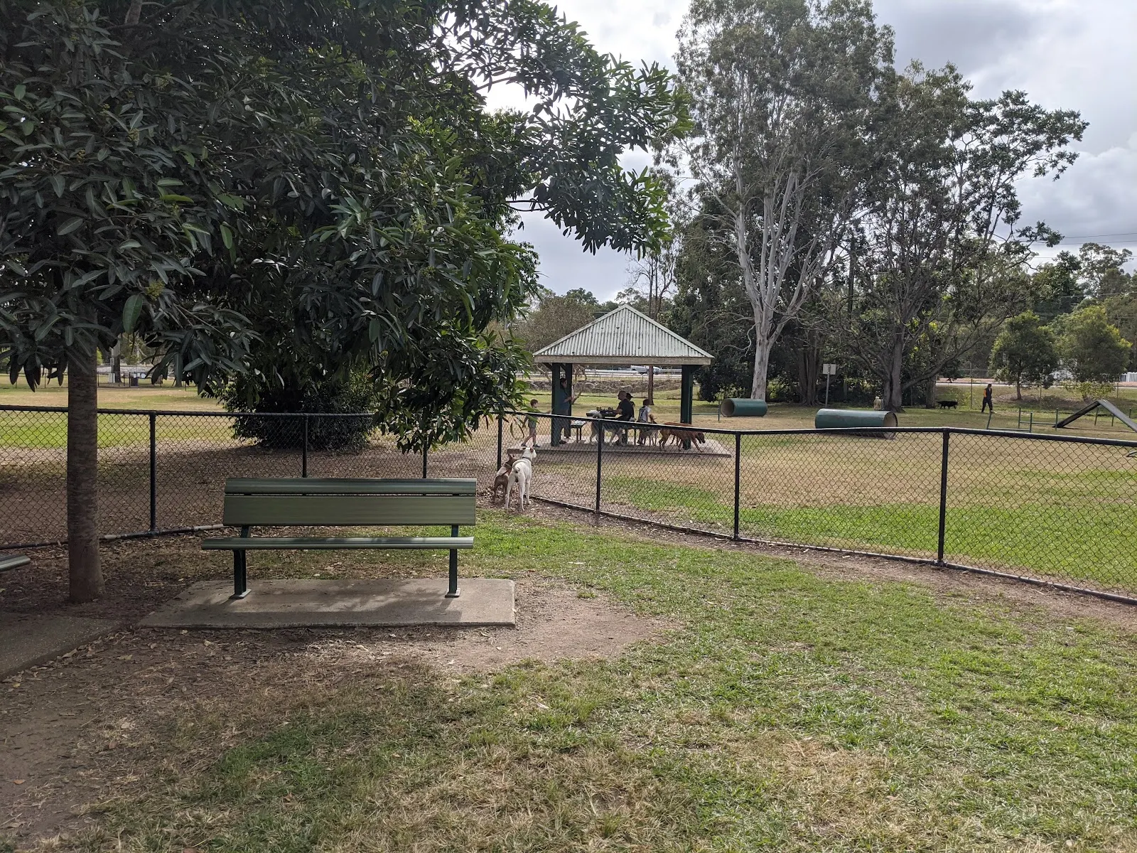 Ferny Grove Dog Park dog park