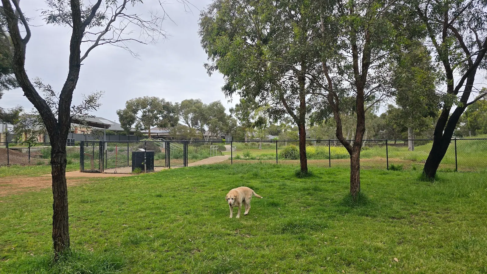 Blakes Crossing Pooch Park Fenced Dog Park dog park