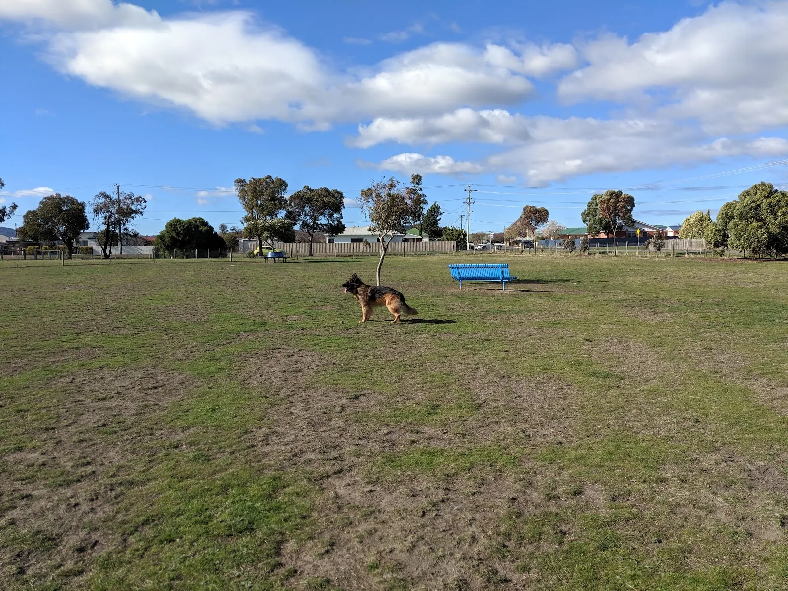 Sorell Dog Park dog park