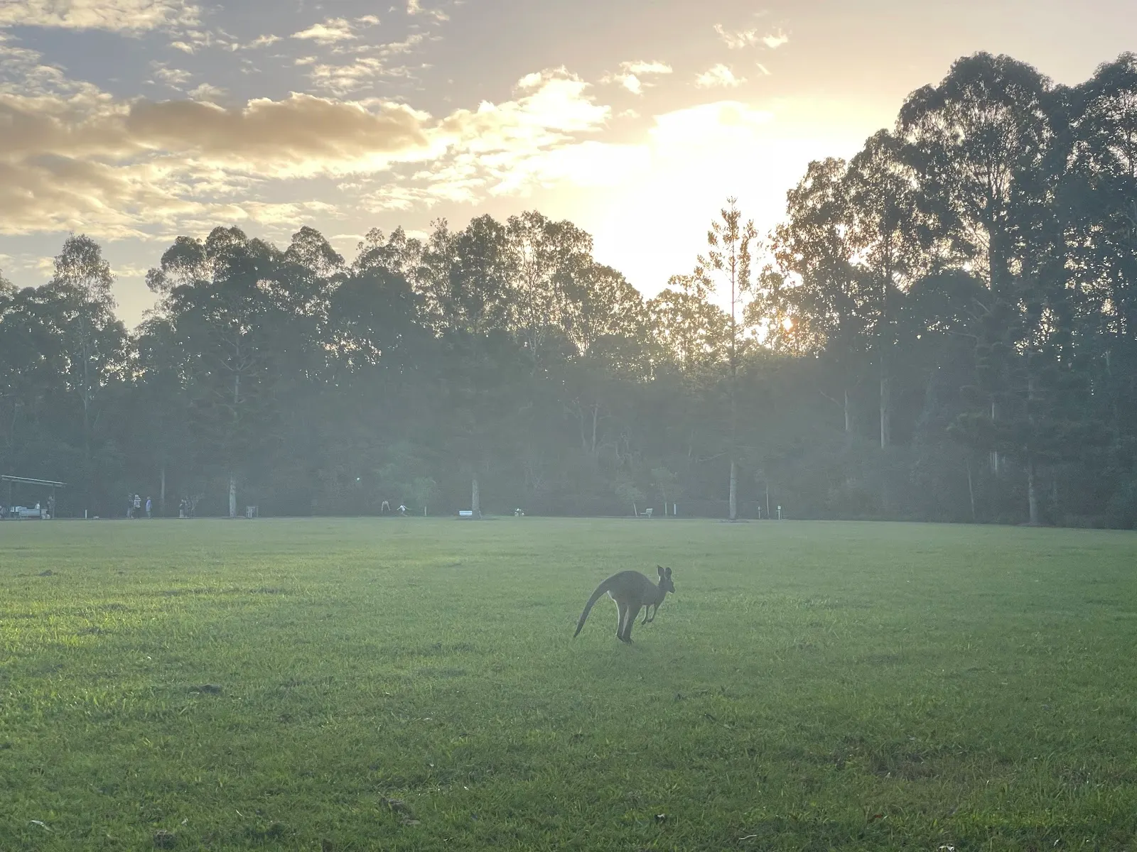 Opossum Creek Parklands Fenced Dog Park dog park