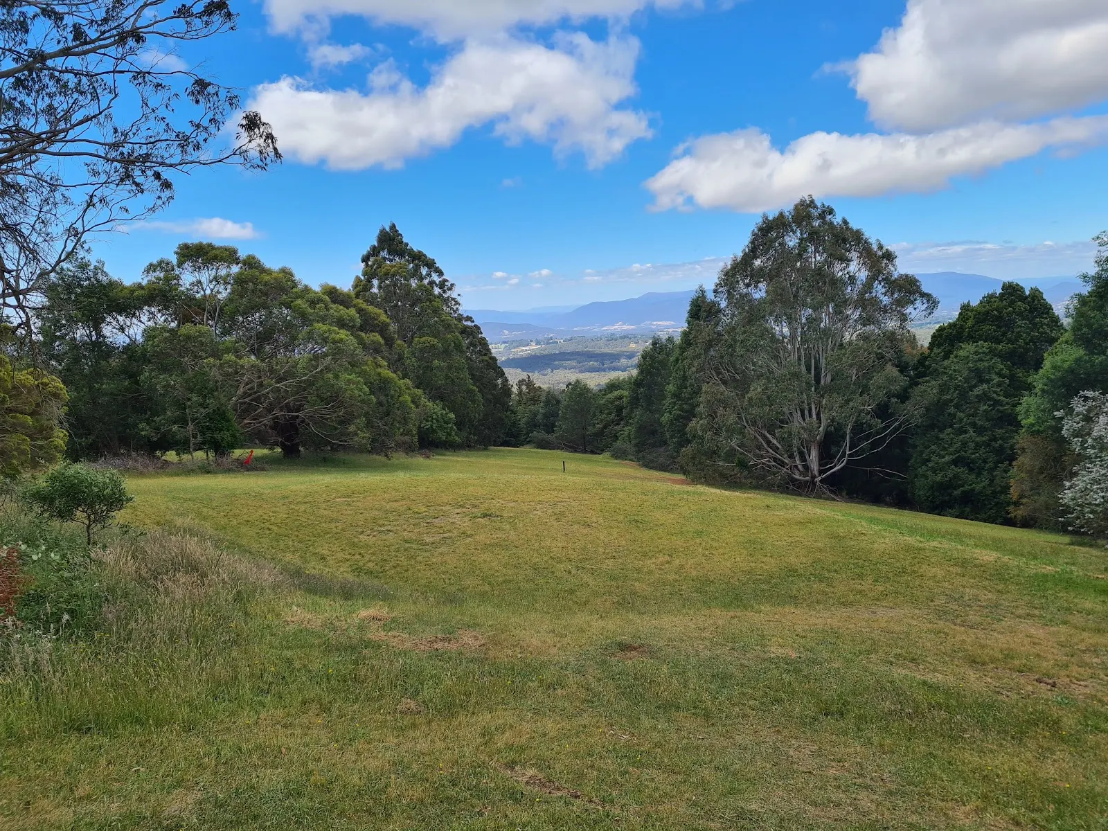 Old Olinda Golf Course Dog Off Leash Area dog park