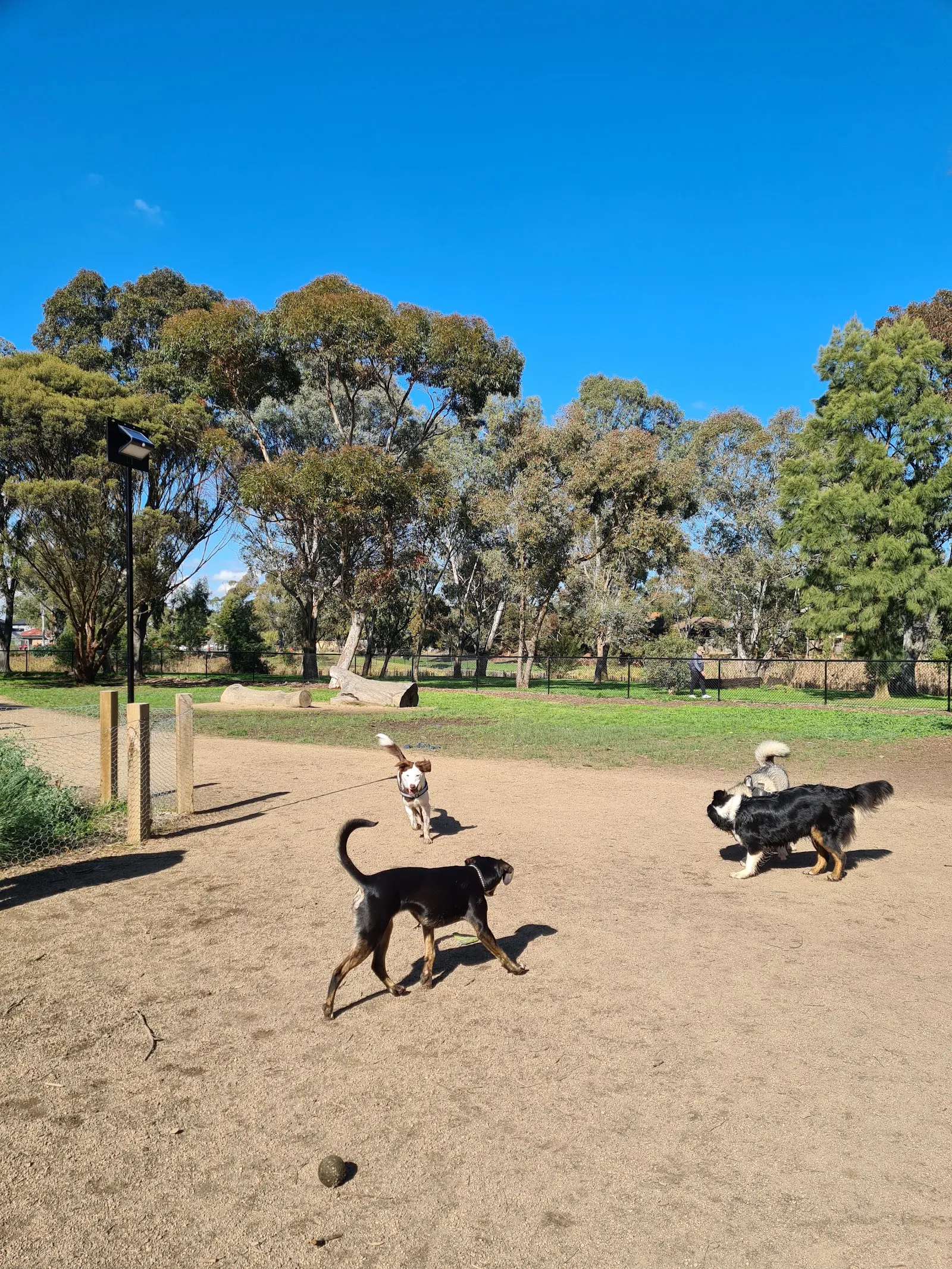 Norris Bank Reserve Fenced Dog Park dog park