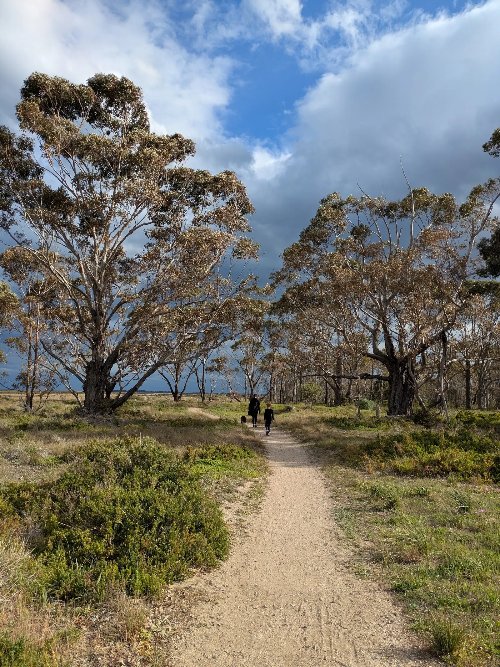 Doug Grant Reserve Dog Off Leash Area dog park