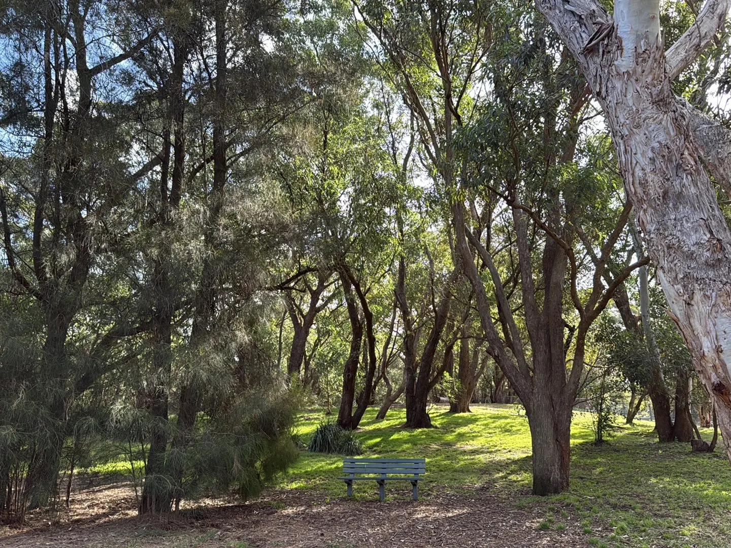 Sir Joseph Banks Park Fenced Dog Park dog park