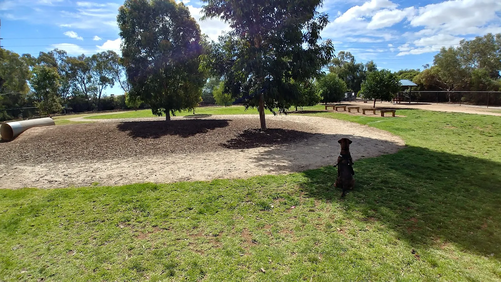 Kingswood Crescent Reserve Fenced Dog Park dog park
