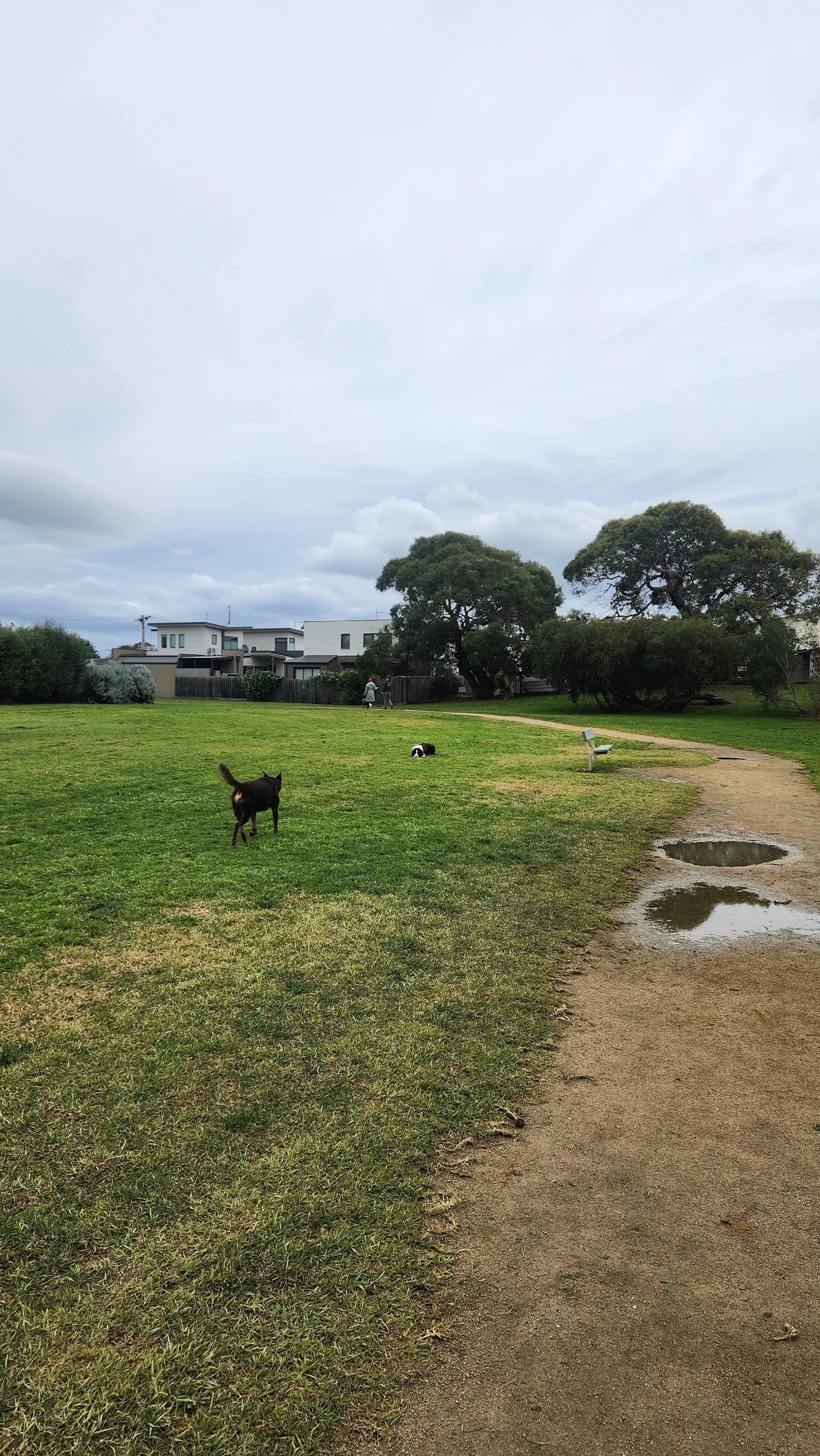 Lawson Park Fenced Dog Off Leash Park dog park