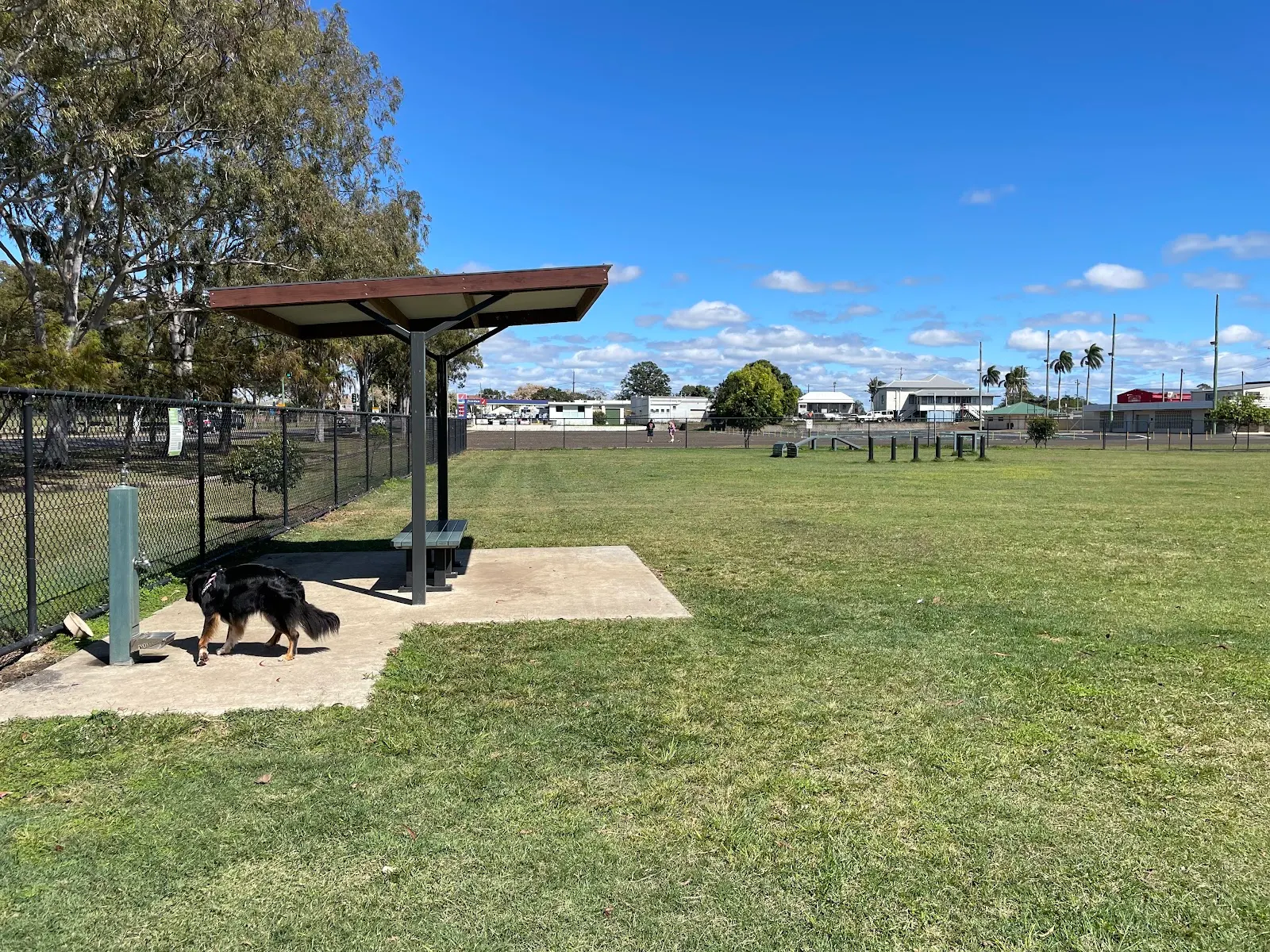 Daph Geddes Park Fenced Dog Park dog park