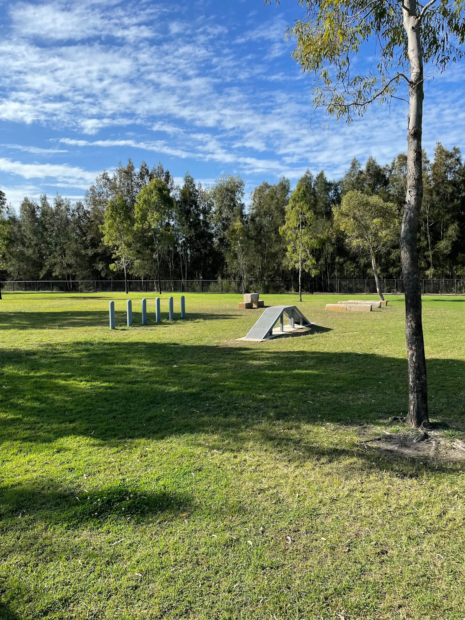 Brightwater Park Fenced Dog Park dog park