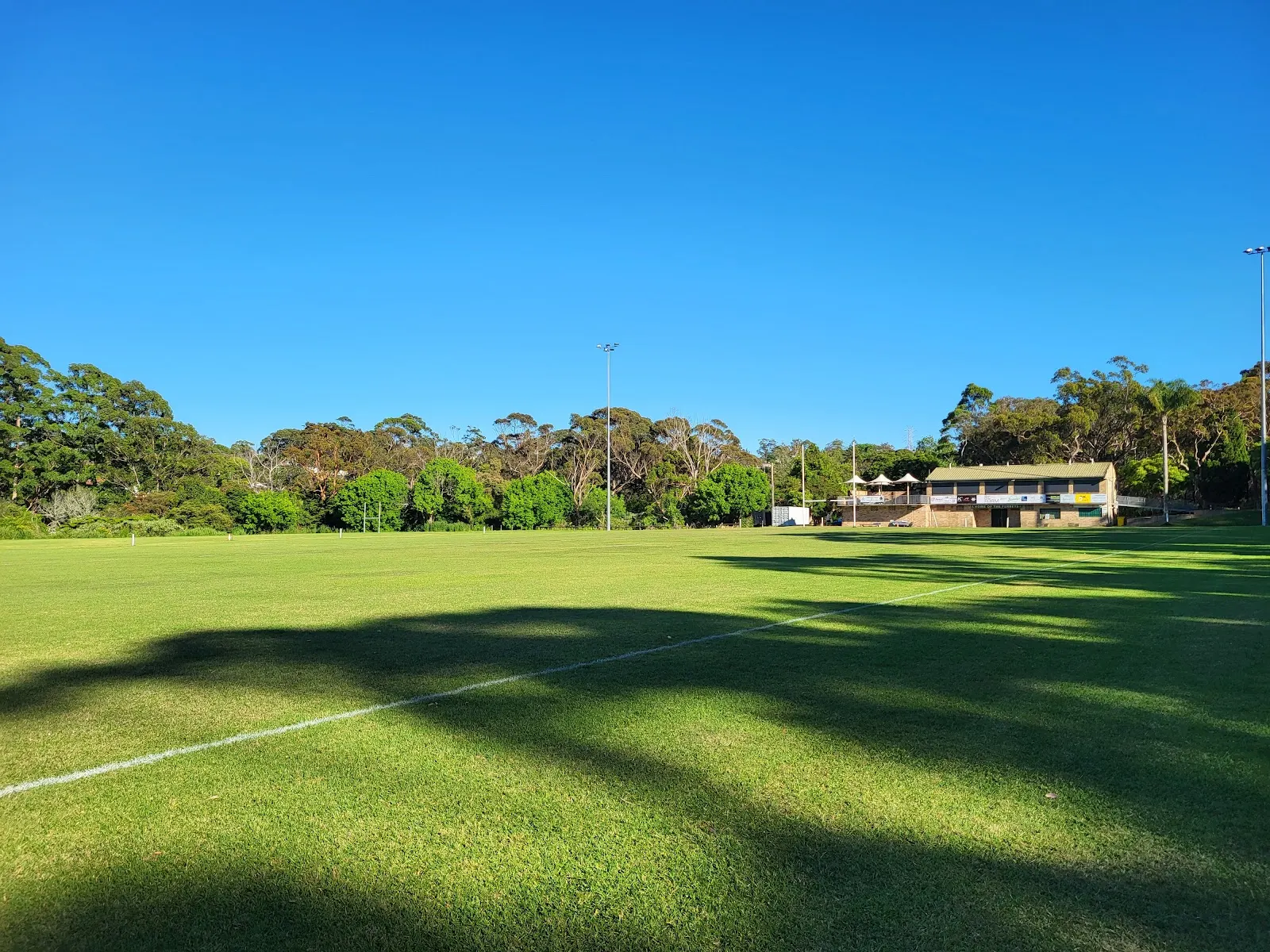 Forestville Park dog park
