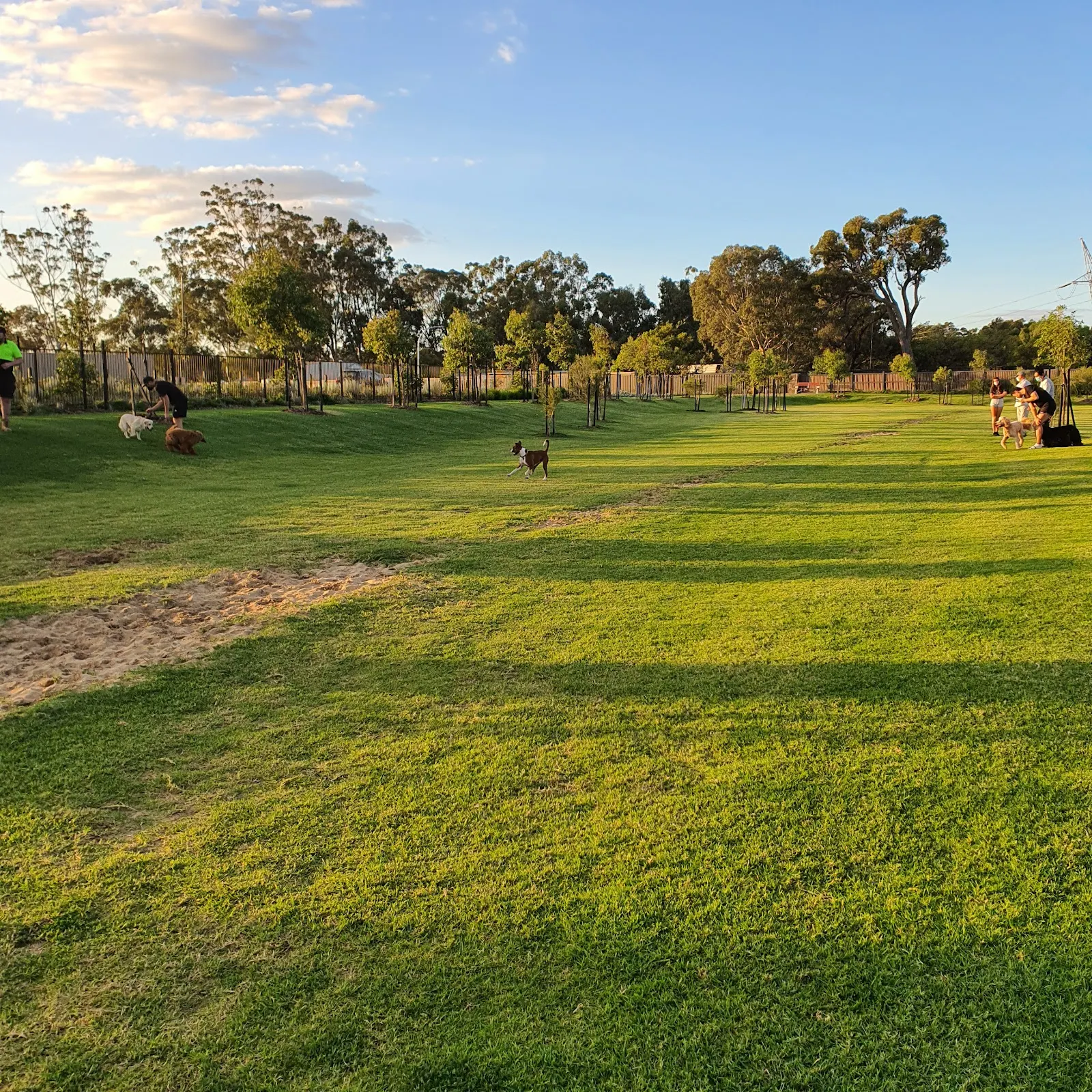 The Hales Fenced Dog Park dog park