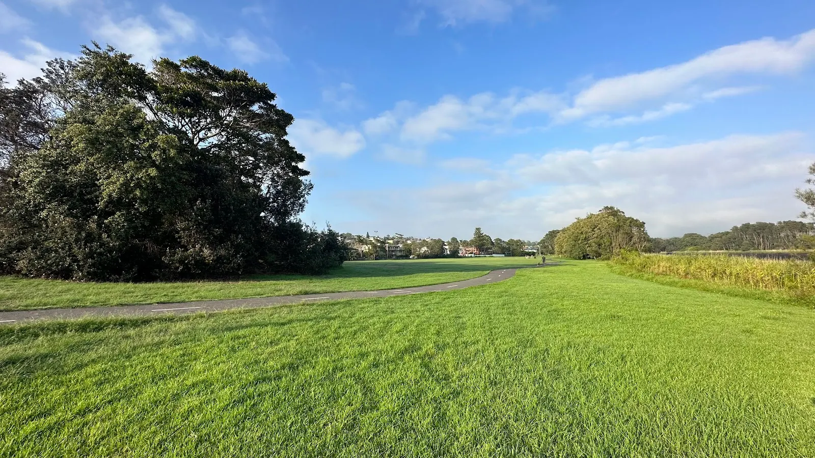 Adam Street Reserve dog park