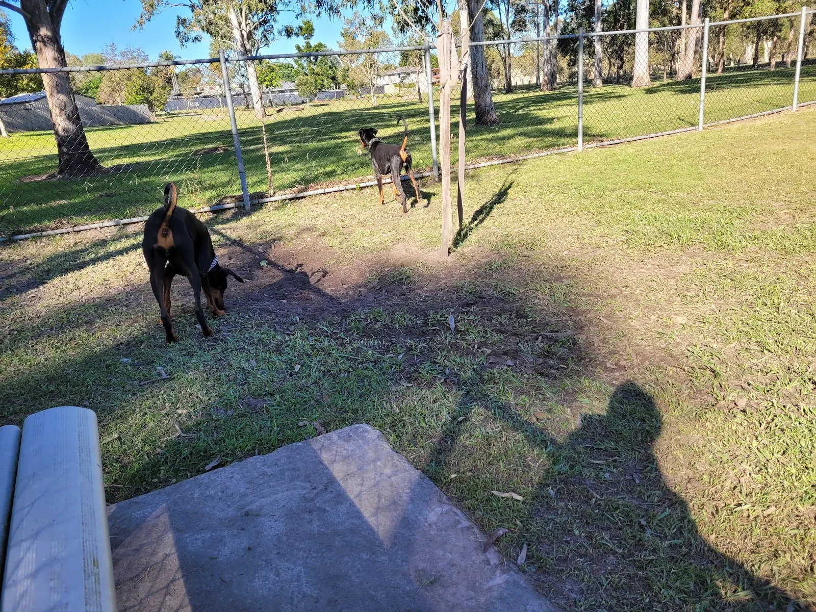 Burpengary Dog Park dog park