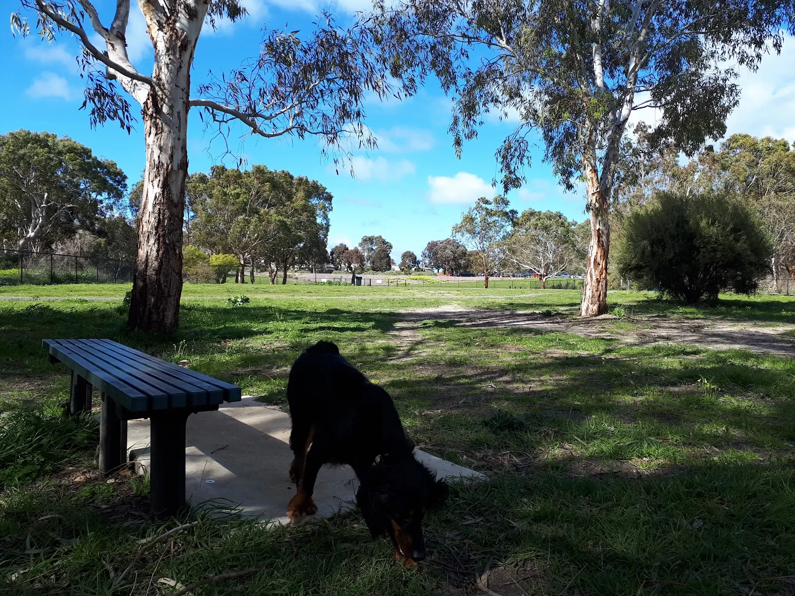 Victor Harbor Fenced Dog Park dog park