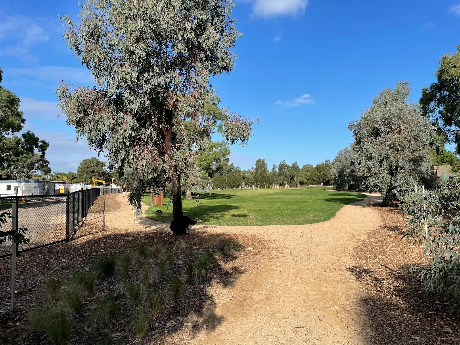 Roy Dore Reserve Fenced Dog Park dog park