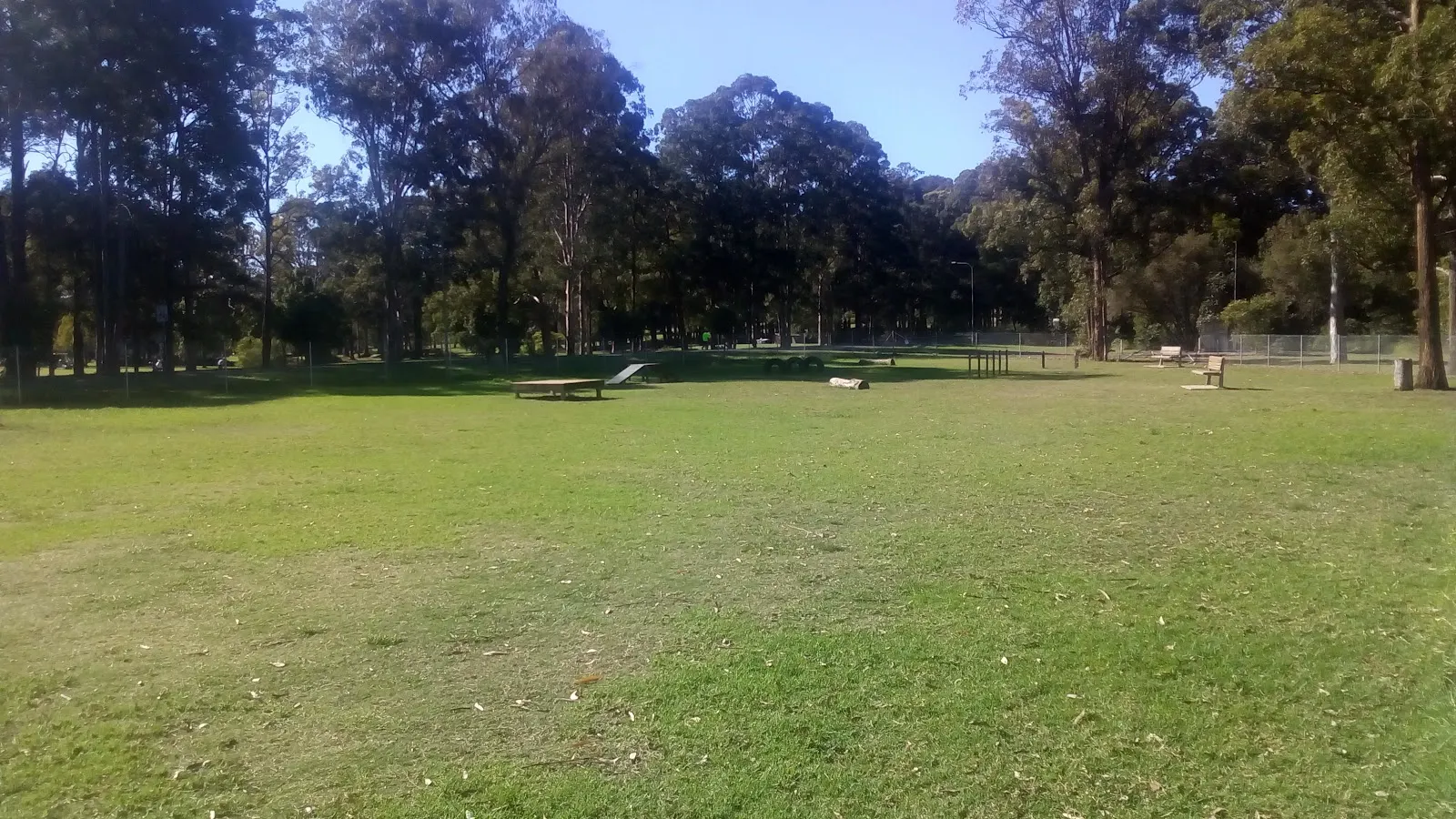 Blackbutt Reserve Fenced Dog Park dog park