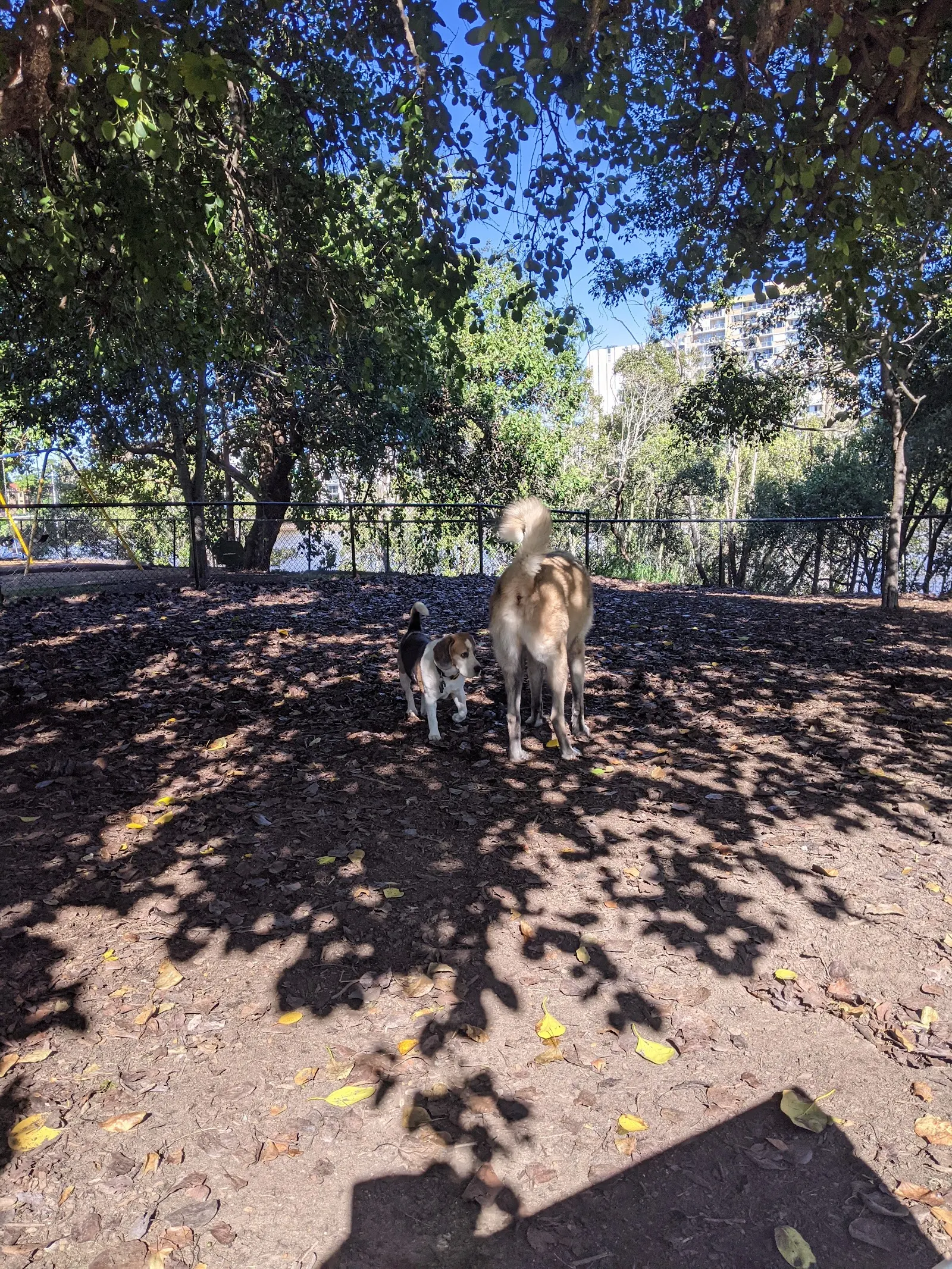Orleigh Dog Park dog park
