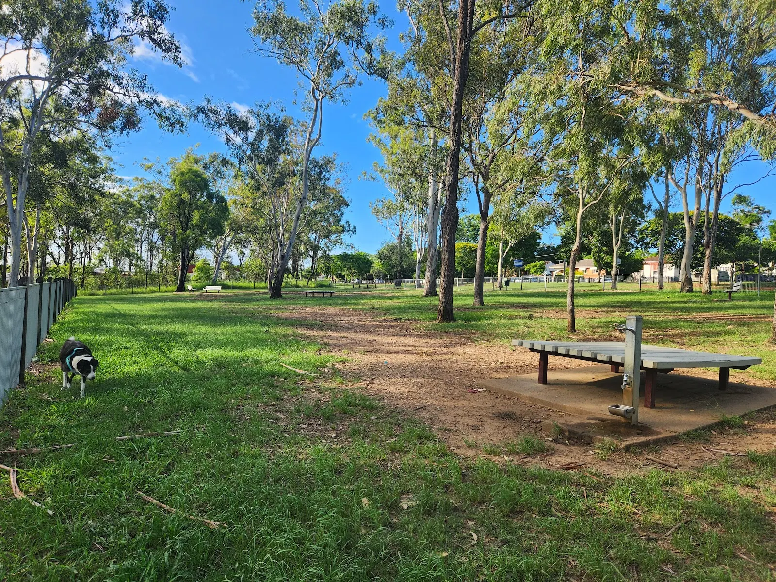 Wulkuraka Park Fenced Dog Park dog park