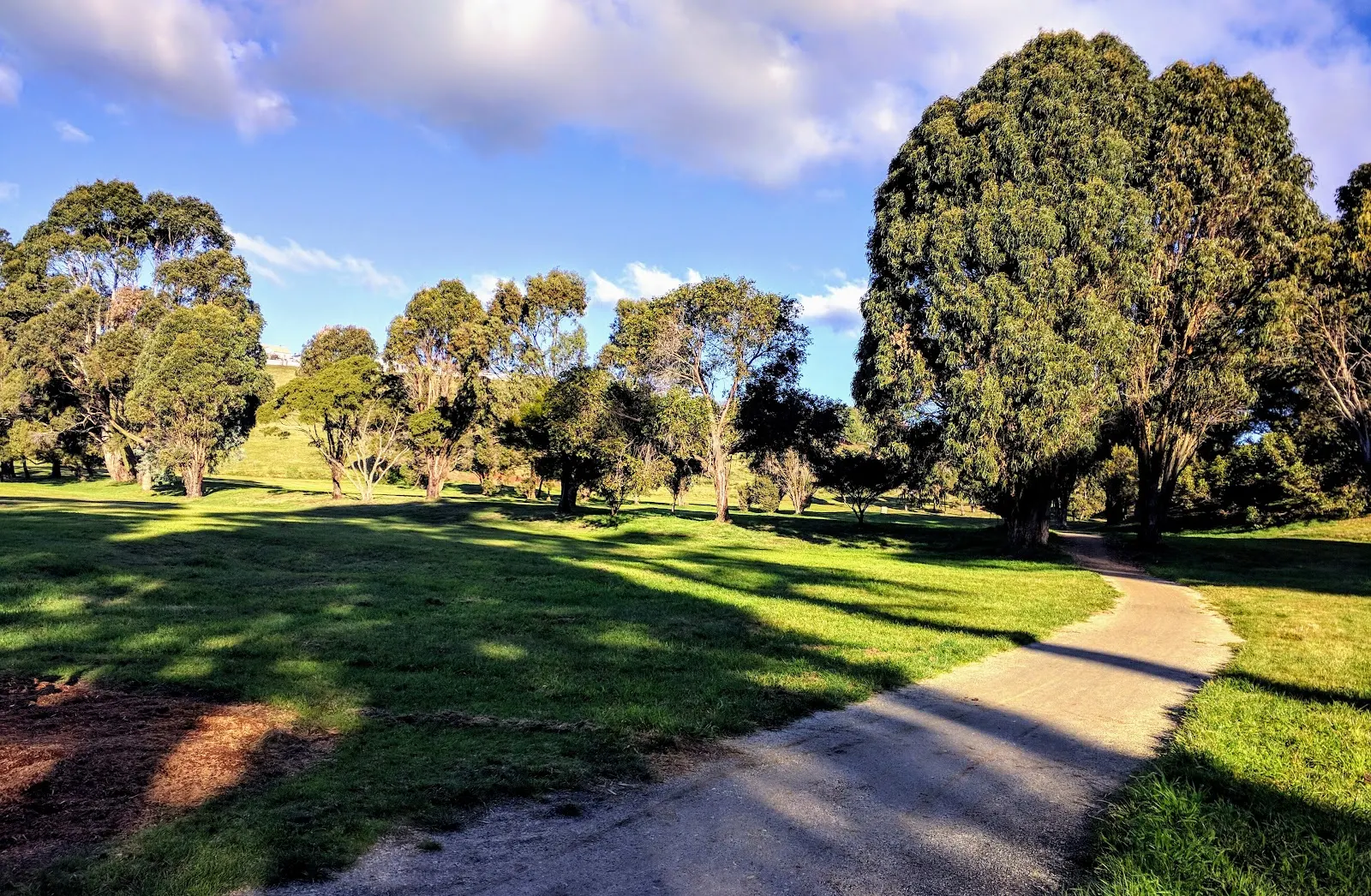 View Road Reserve Fenced Dog Park dog park