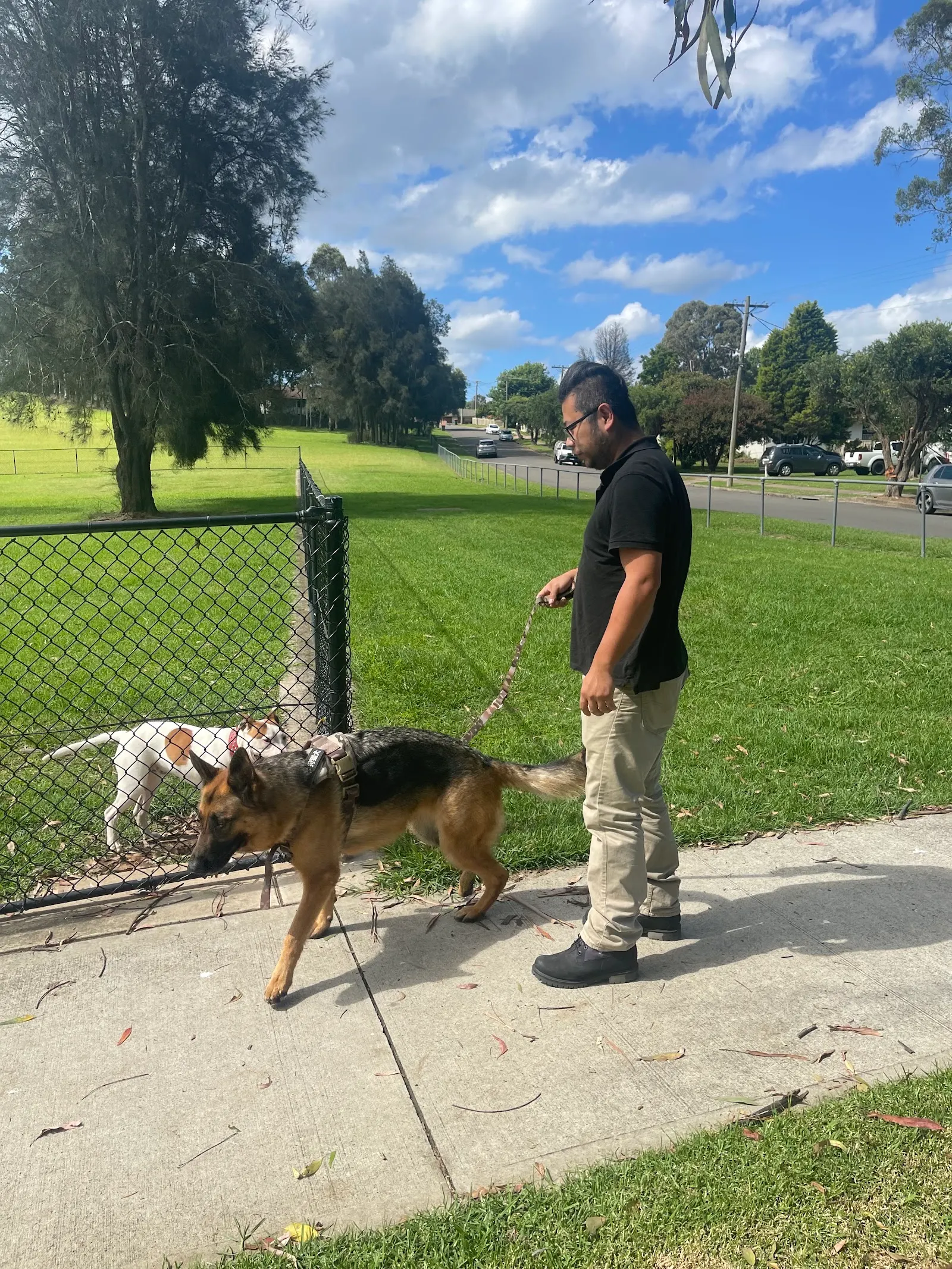 Tregear Reserve Fenced Dog Park dog park