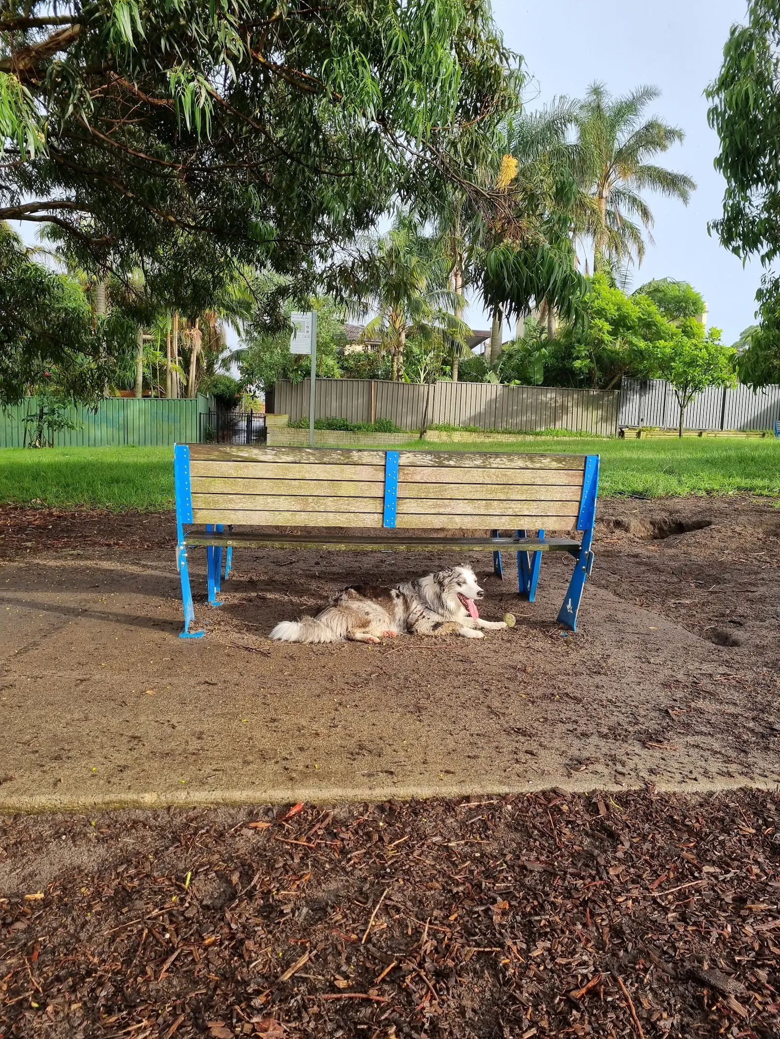 Firmstone Reserve Fenced Dog Park dog park