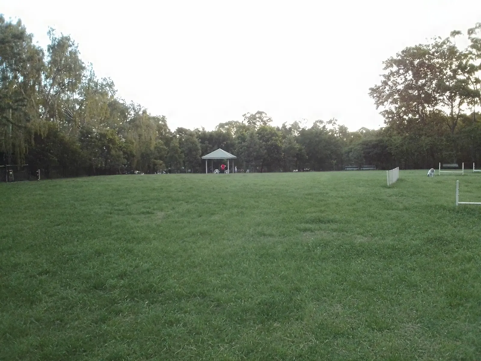 Anzac Park Fenced Dog Park dog park