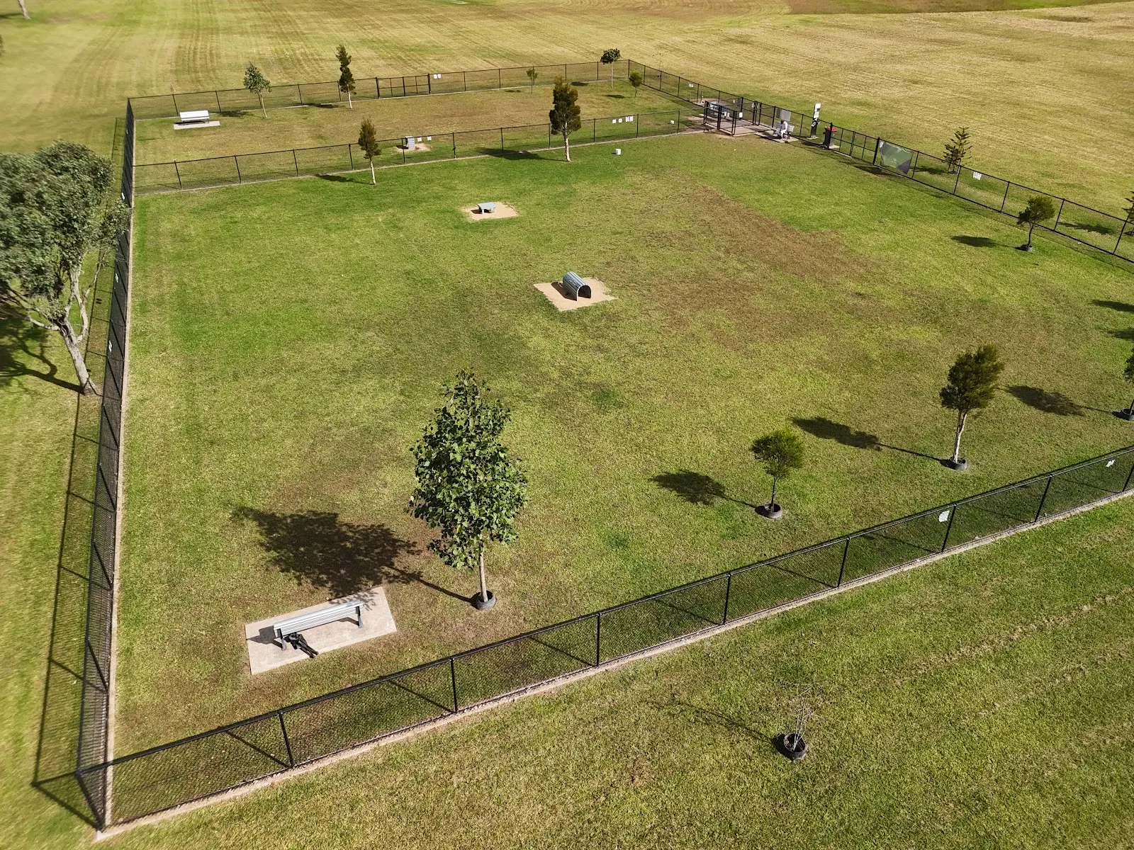 Reed Park Fenced Dog Park dog park
