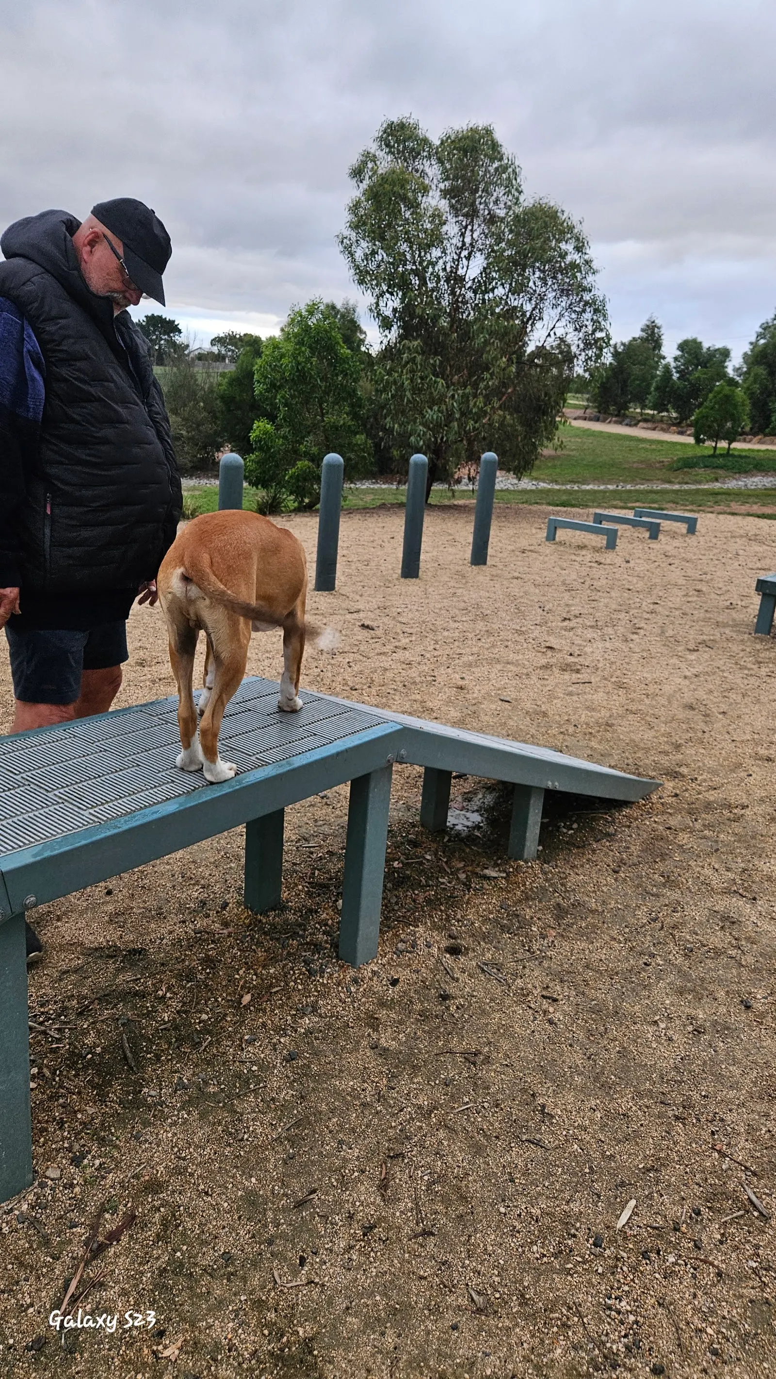 Hovells Creek Reserve Fenced Dog Park (Lara) dog park