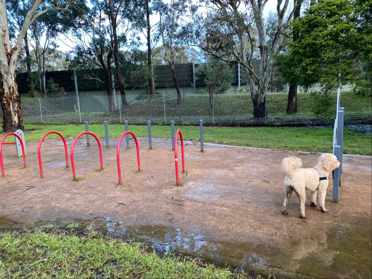 Richard Podmore Reserve Fenced Dog Park dog park