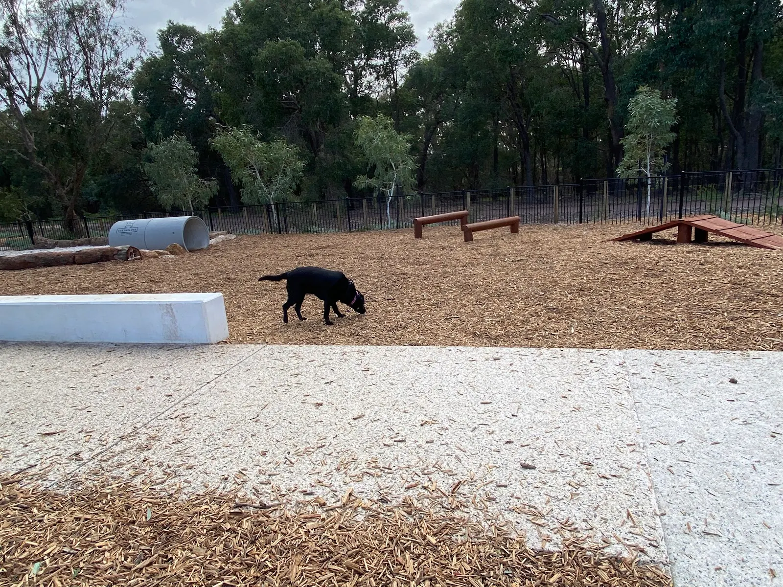 Greenslope Fenced Dog Park dog park