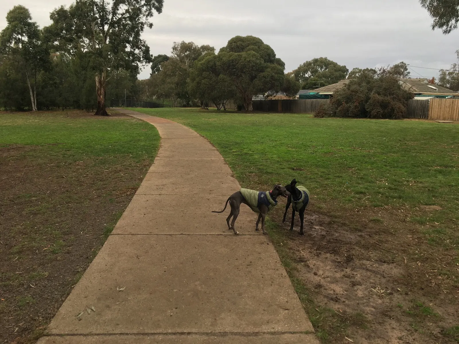 Davitt Drive Reserve Fenced Dog Park dog park